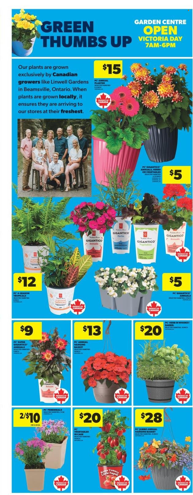 Real Canadian Superstore flyer - May 15, 2025 - May 21, 2025. Page 11