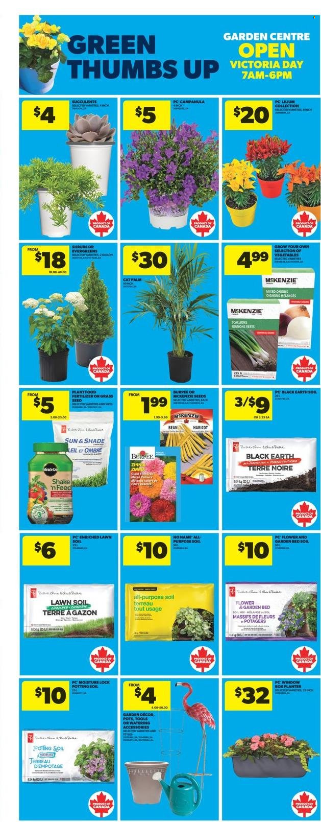 Real Canadian Superstore flyer - May 15, 2025 - May 21, 2025. Page 12