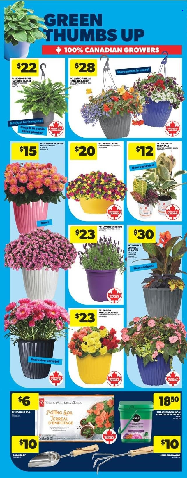 Real Canadian Superstore flyer - May 15, 2025 - May 21, 2025. Page 36