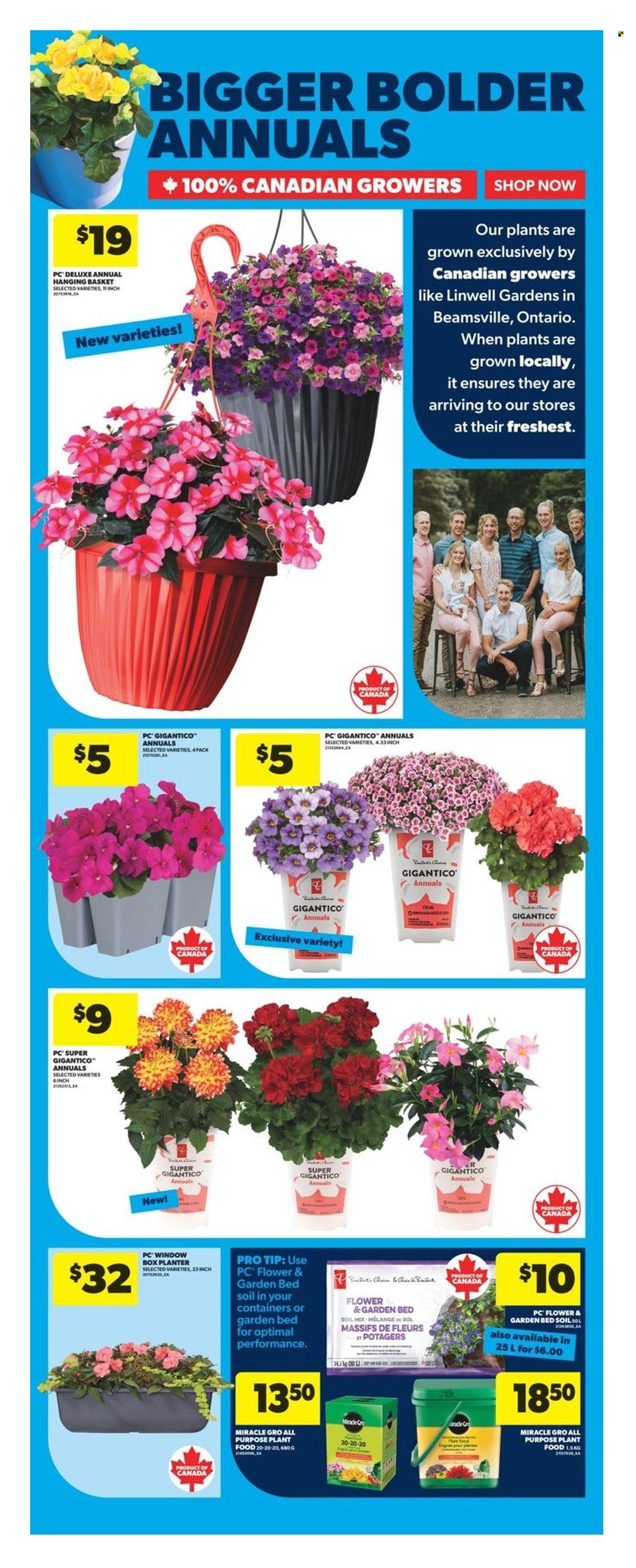 Real Canadian Superstore flyer - May 22, 2025 - May 28, 2025. Page 36