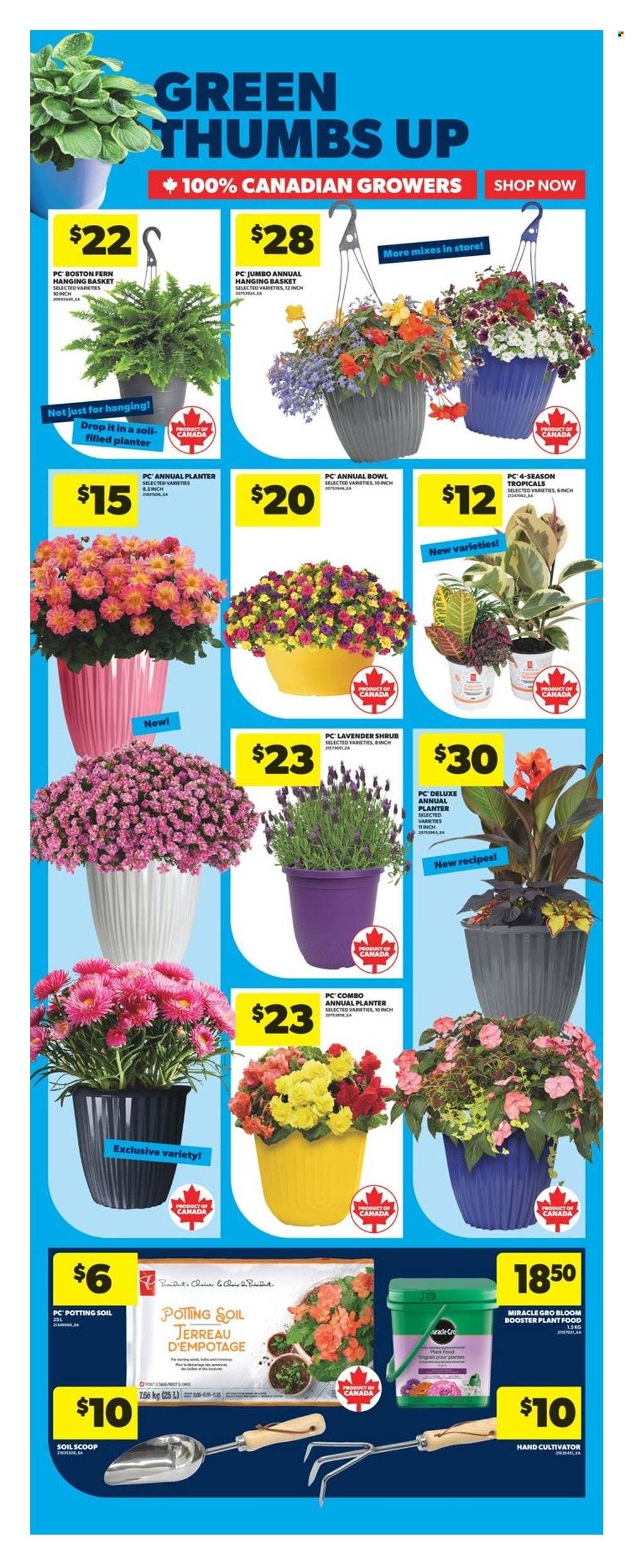 Real Canadian Superstore flyer - May 22, 2025 - May 28, 2025. Page 37