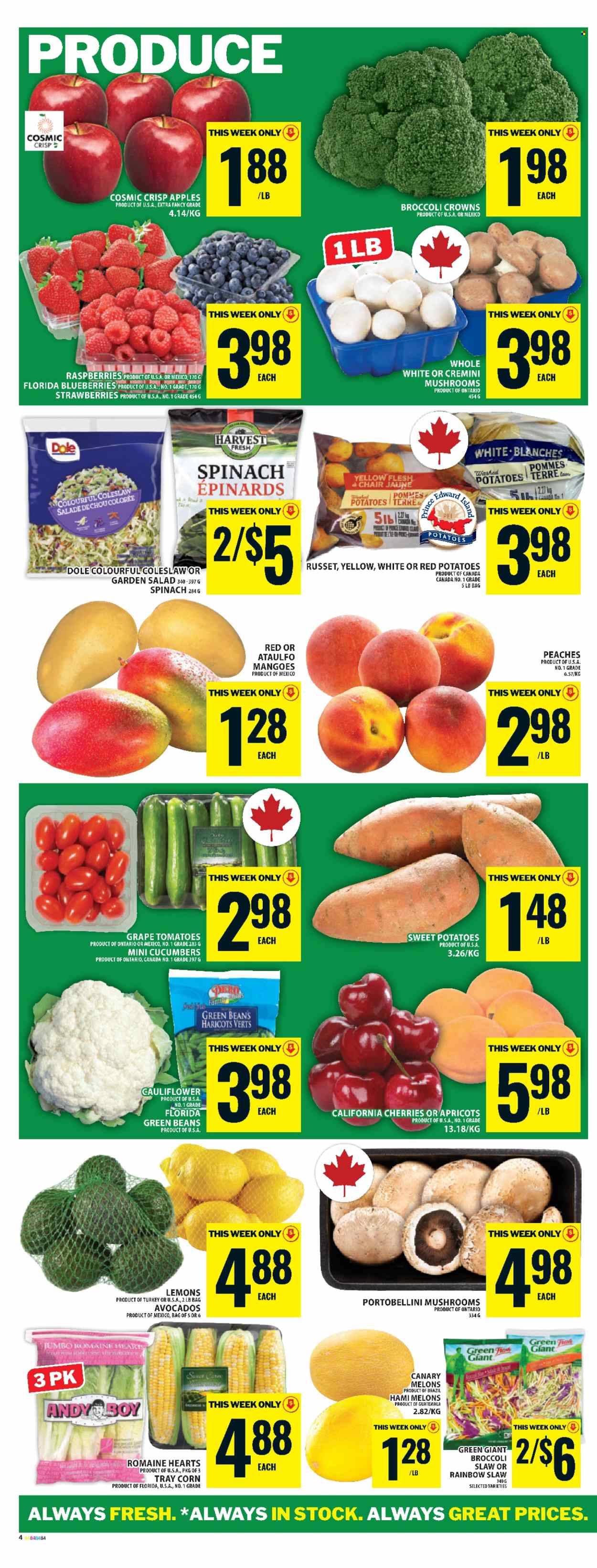 Food Basics flyer - May 22, 2025 - May 28, 2025. Page 13