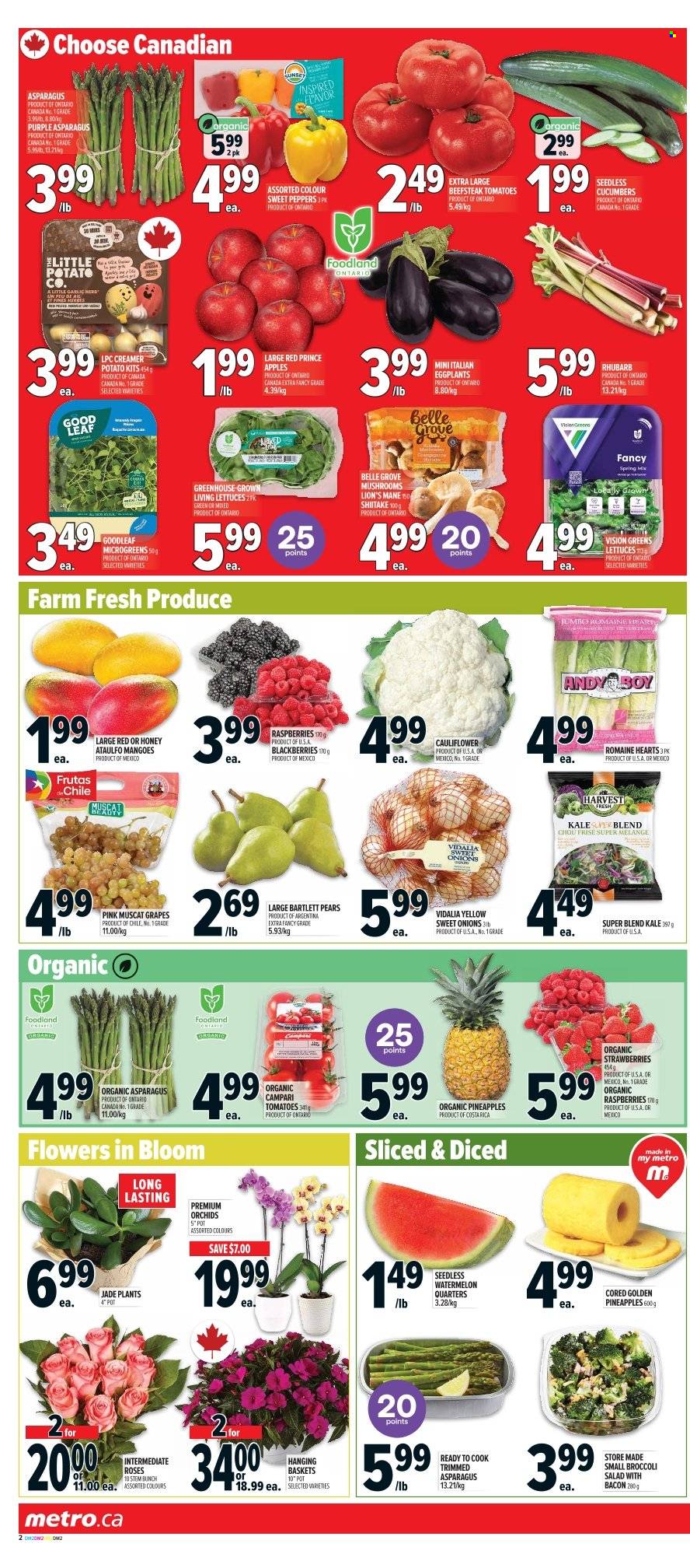 Metro flyer - May 22, 2025 - May 28, 2025. Page 6