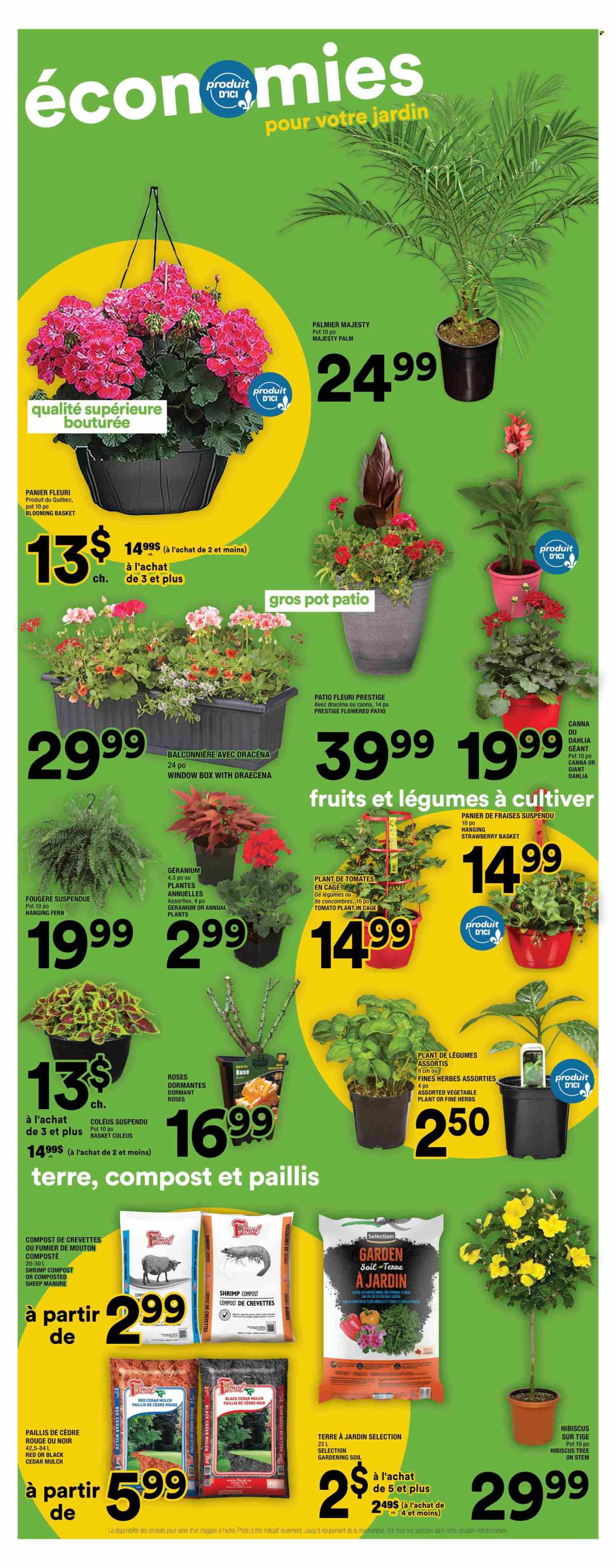 Super C flyer - May 22, 2025 - May 28, 2025. Page 16