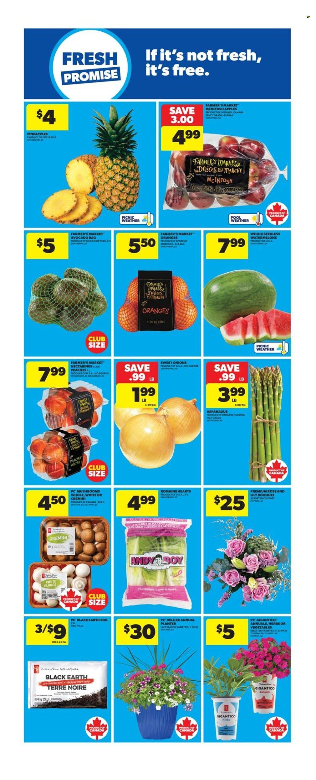 Real Canadian Superstore flyer - June 12, 2025 - June 18, 2025. Page 12