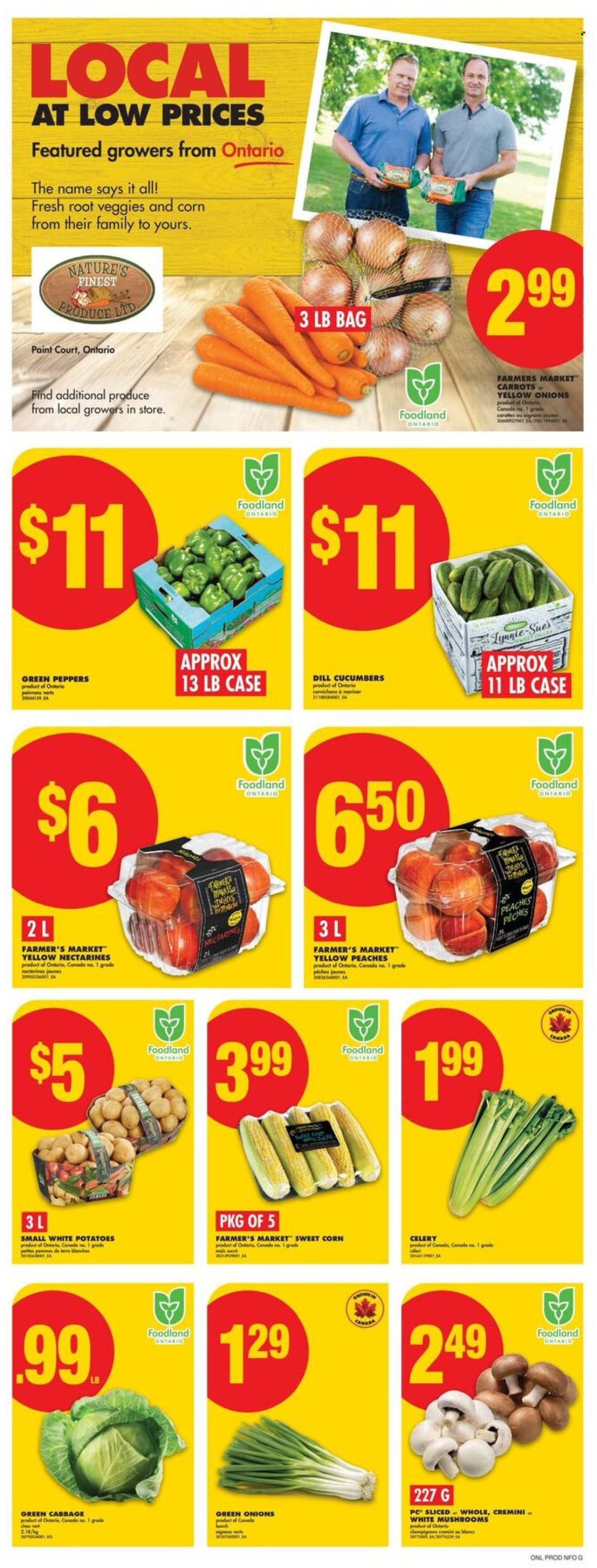 No Frills flyer - August 14, 2025 - August 20, 2025. Page 3