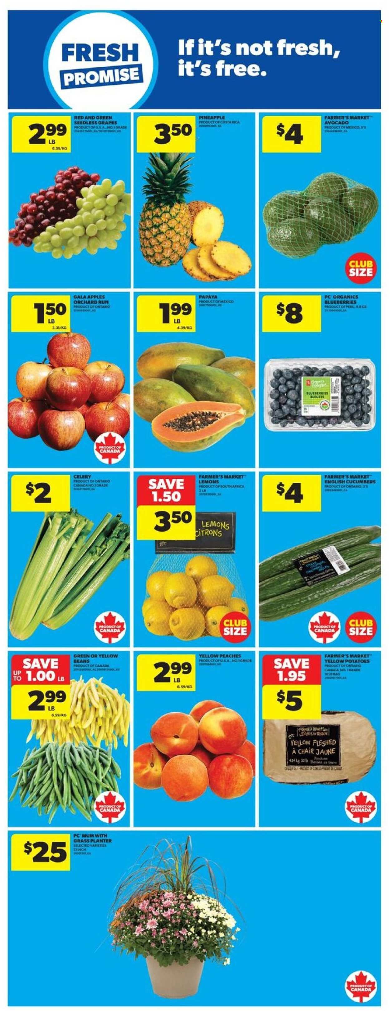 Real Canadian Superstore flyer - September 18, 2025 - September 24, 2025. Page 17