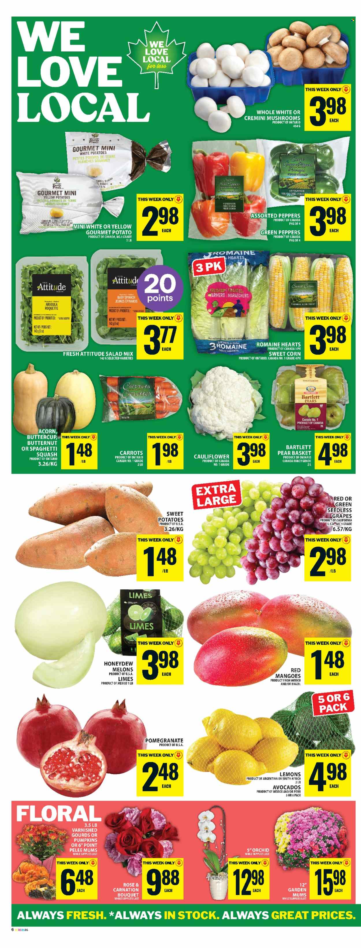 Food Basics flyer - September 18, 2025 - September 24, 2025. Page 9