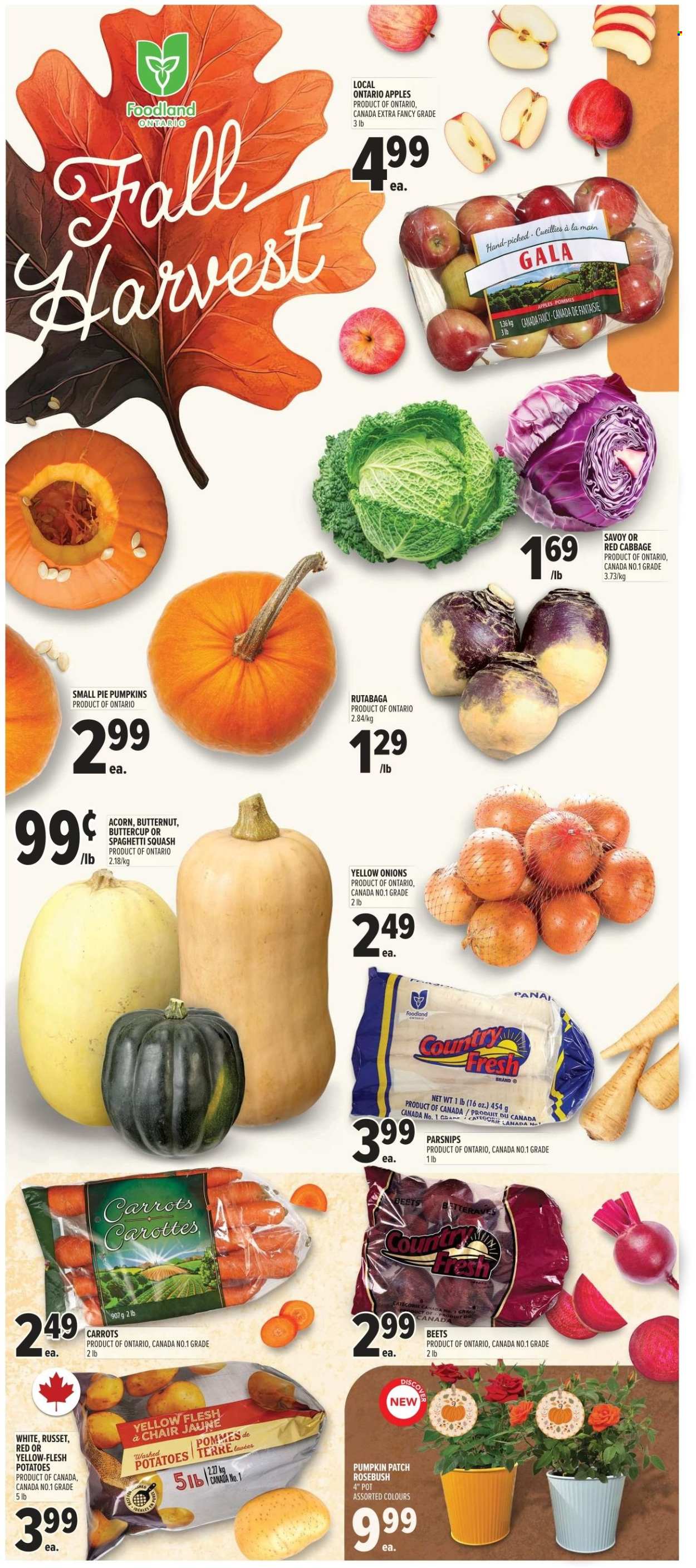 Metro flyer - September 25, 2025 - October 01, 2025. Page 6
