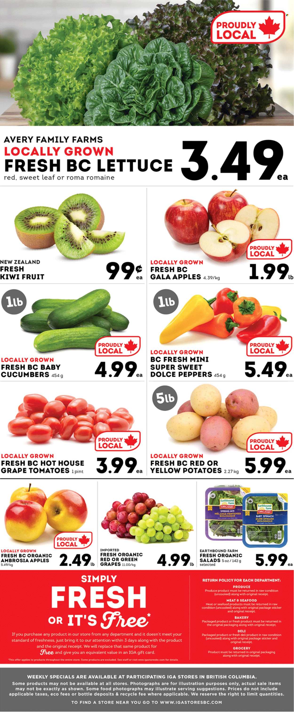 IGA Simple Goodness flyer - October 17, 2025 - October 23, 2025. Page 5
