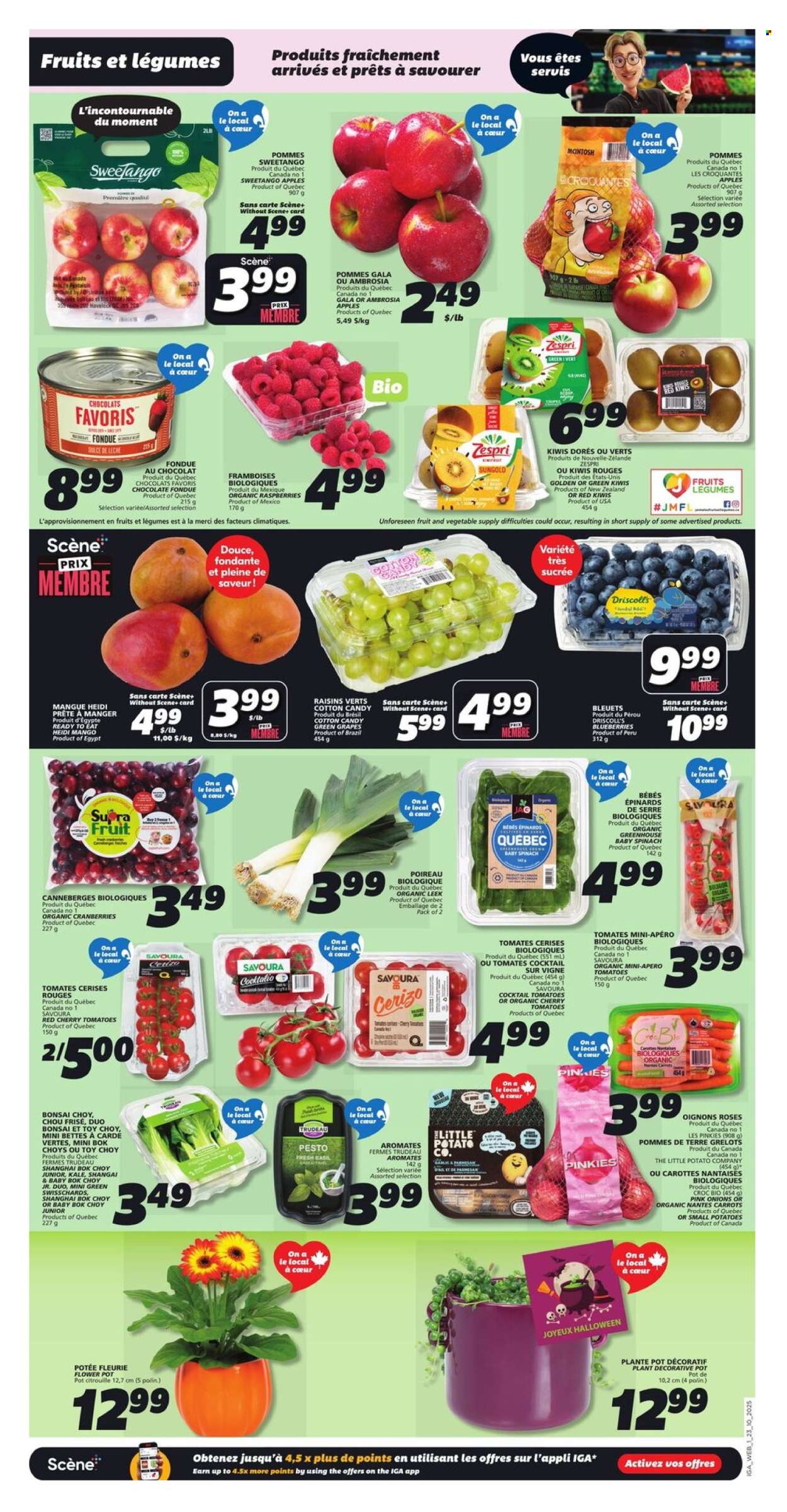 IGA flyer - October 23, 2025 - October 29, 2025. Page 3