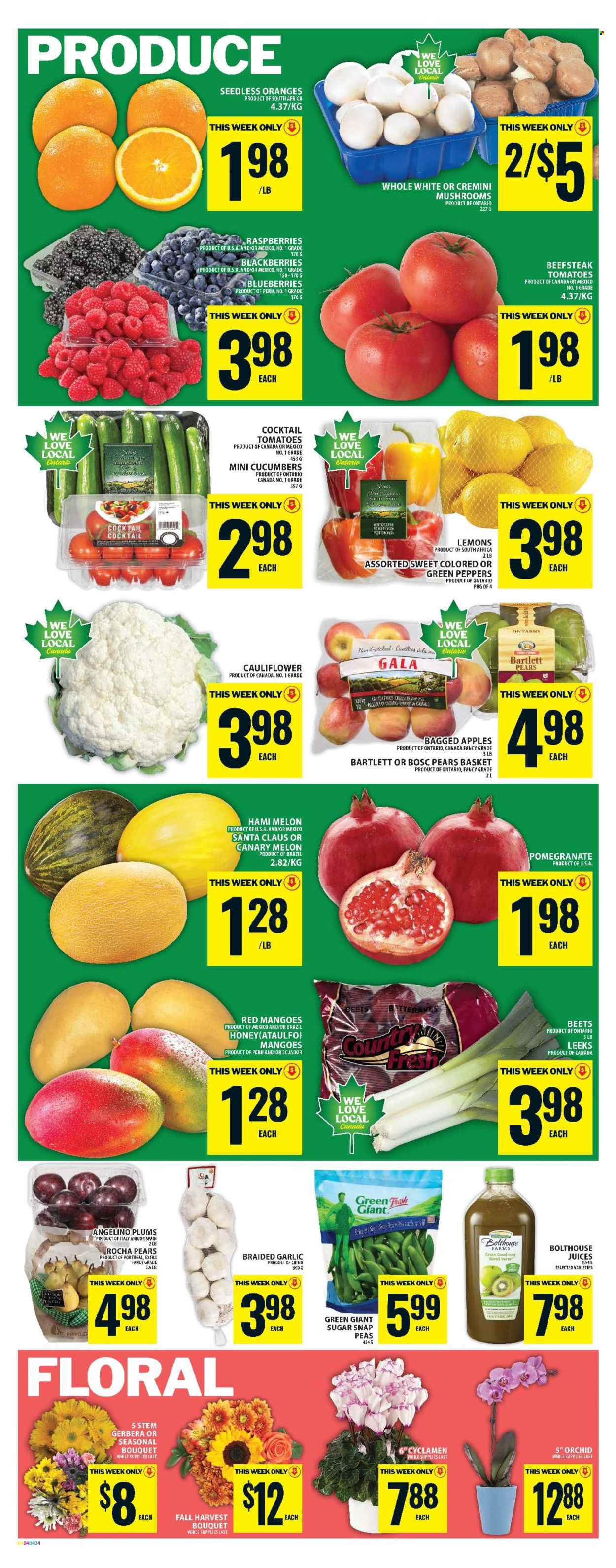 Food Basics flyer - October 23, 2025 - October 29, 2025. Page 7