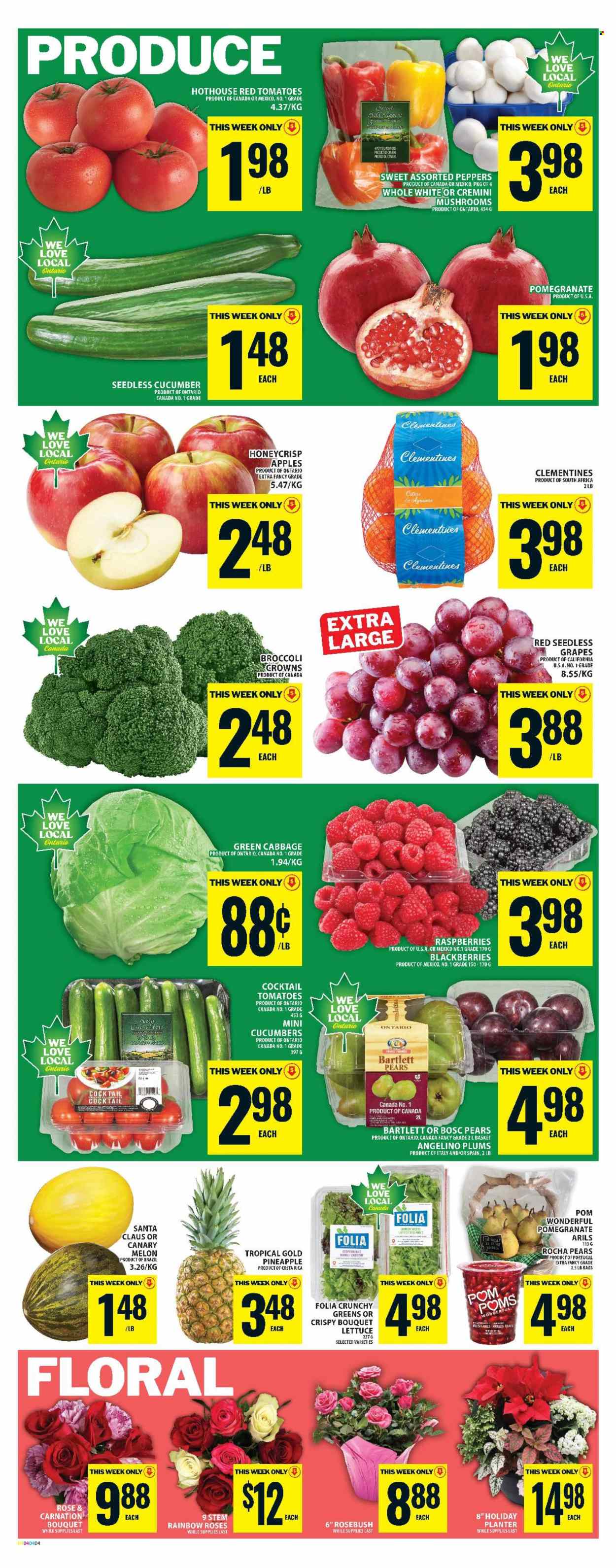 Food Basics flyer - November 20, 2025 - November 26, 2025. Page 7