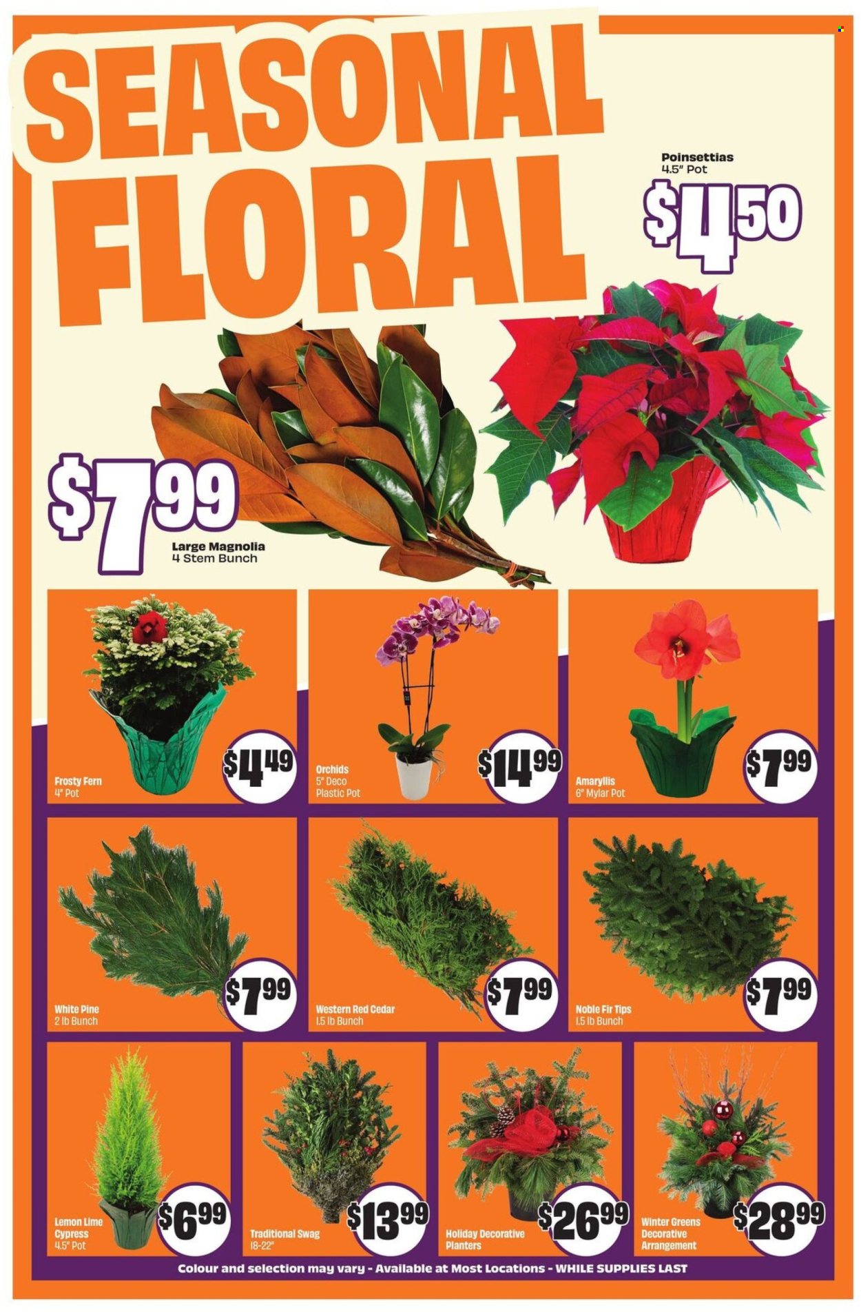 Chalo! FreshCo. flyer - November 20, 2025 - November 26, 2025. Page 5