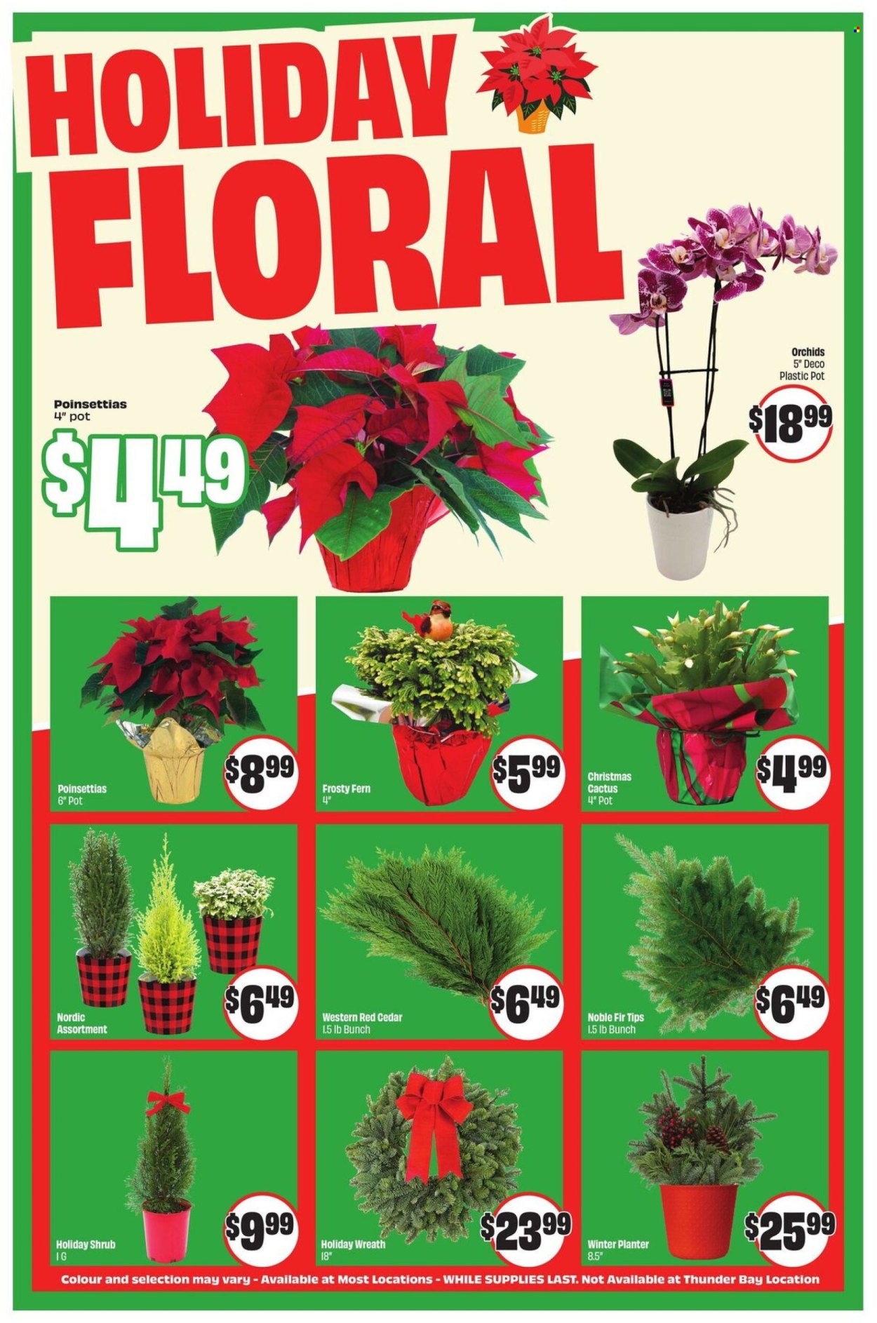 FreshCo. flyer - November 27, 2025 - December 03, 2025. Page 5