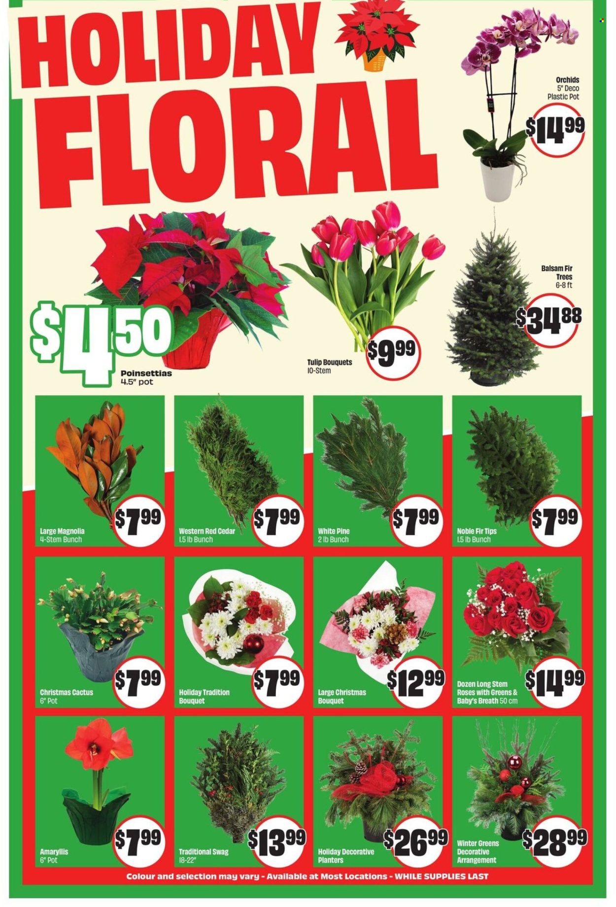 Chalo! FreshCo. flyer - November 27, 2025 - December 03, 2025. Page 5