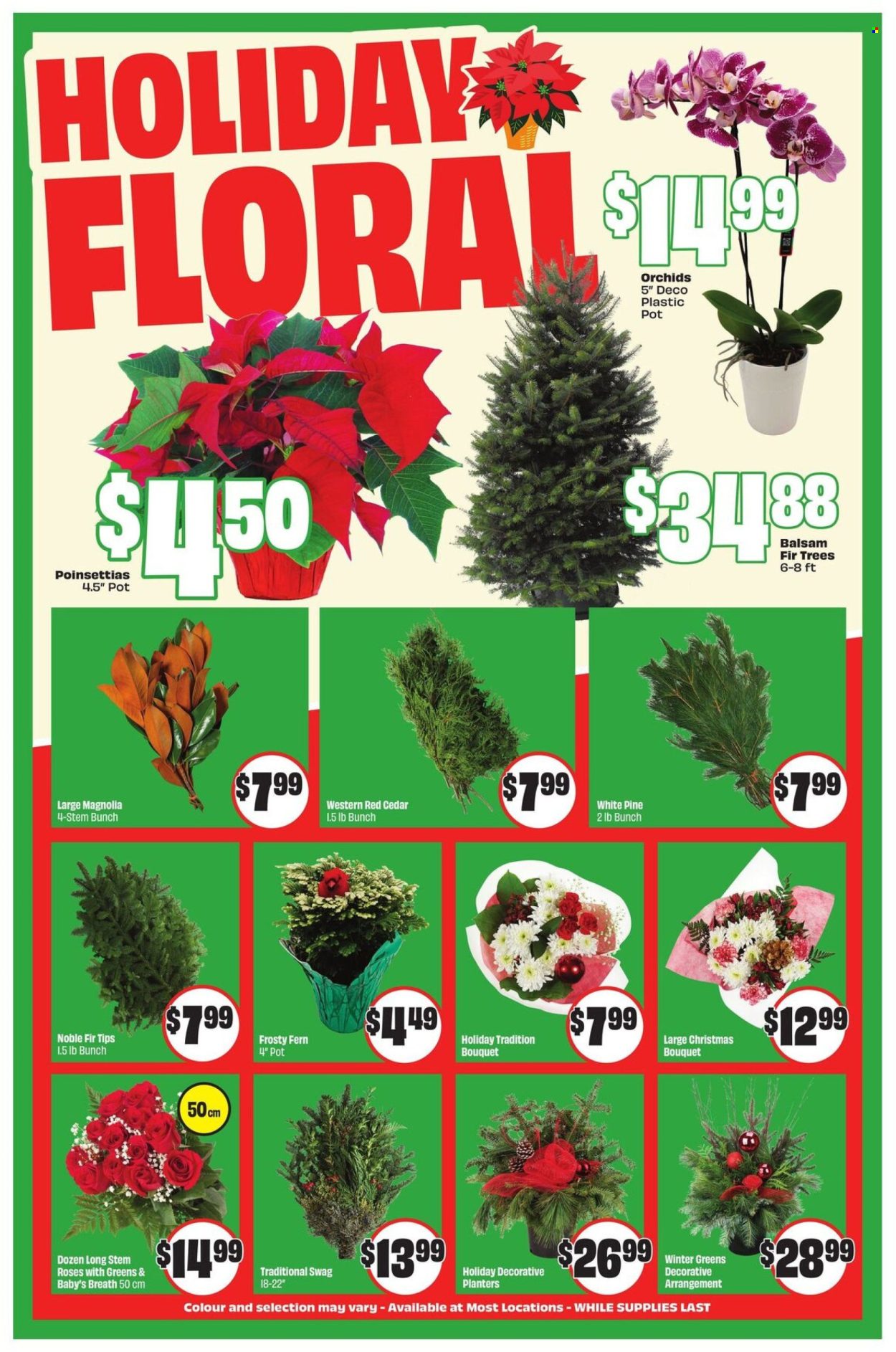Chalo! FreshCo. flyer - December 04, 2025 - December 10, 2025. Page 6