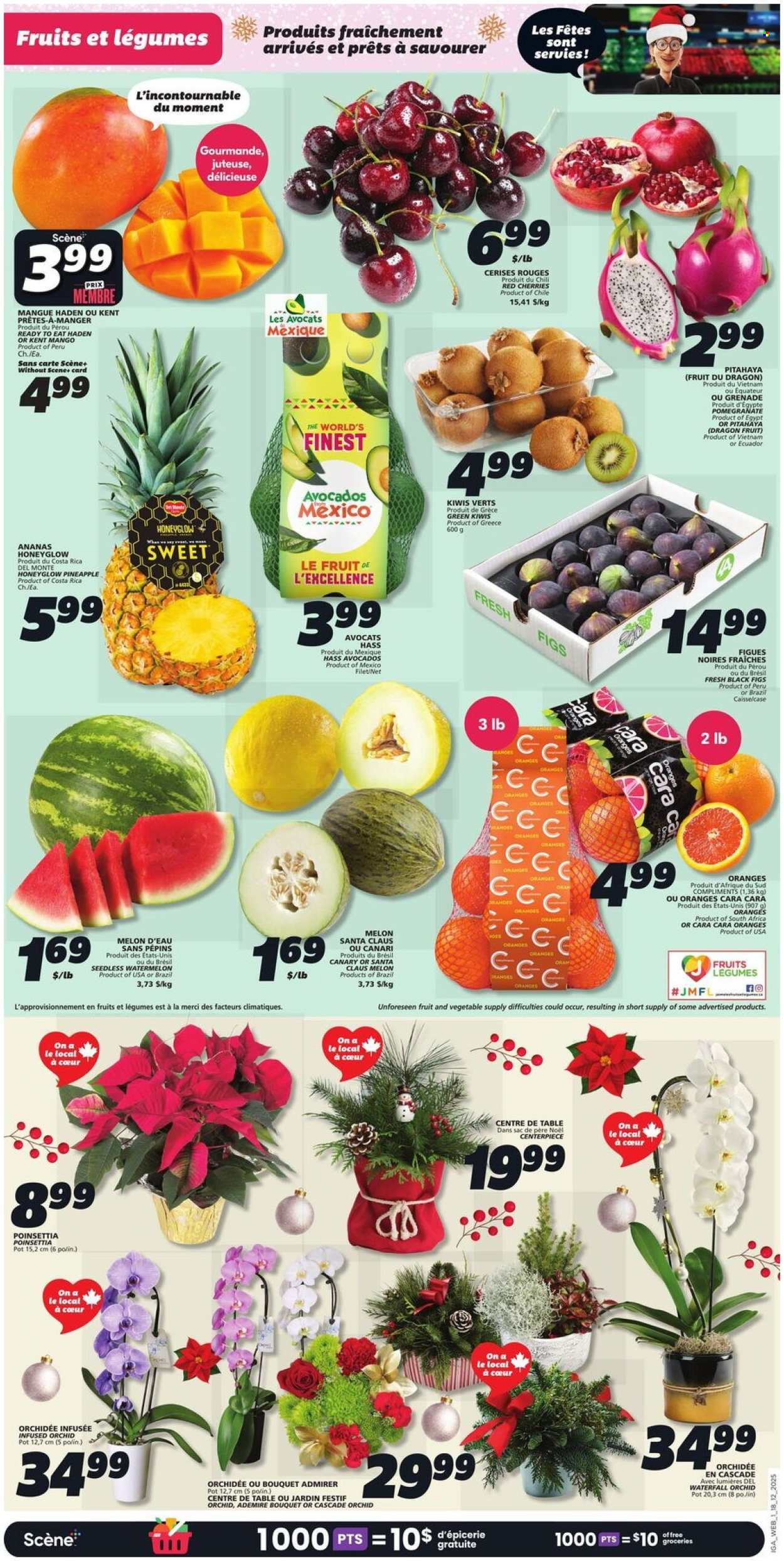 IGA flyer - December 18, 2025 - December 24, 2025. Page 5