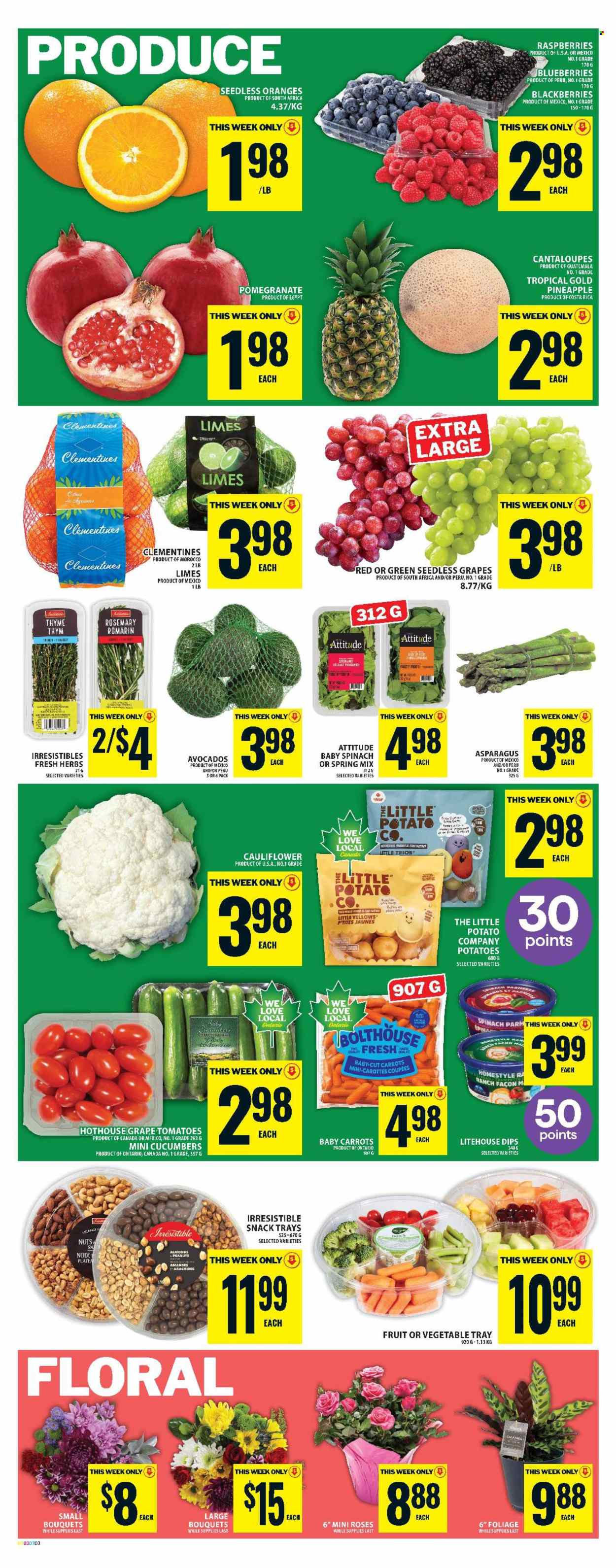 Food Basics flyer - December 25, 2025 - December 31, 2025. Page 4