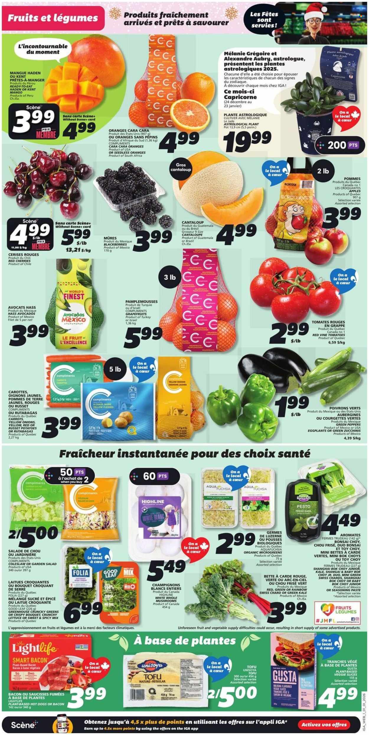 IGA flyer - January 01, 2026 - January 07, 2026. Page 3