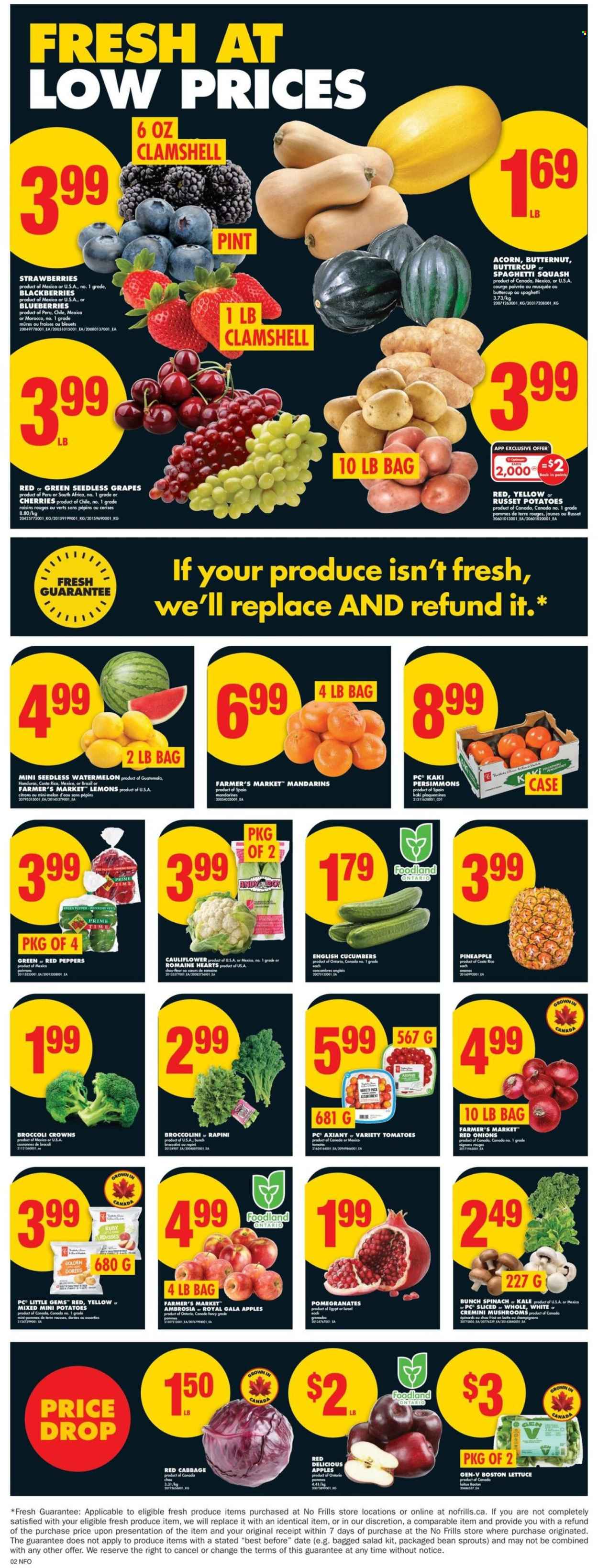 No Frills flyer - January 08, 2026 - January 14, 2026. Page 3