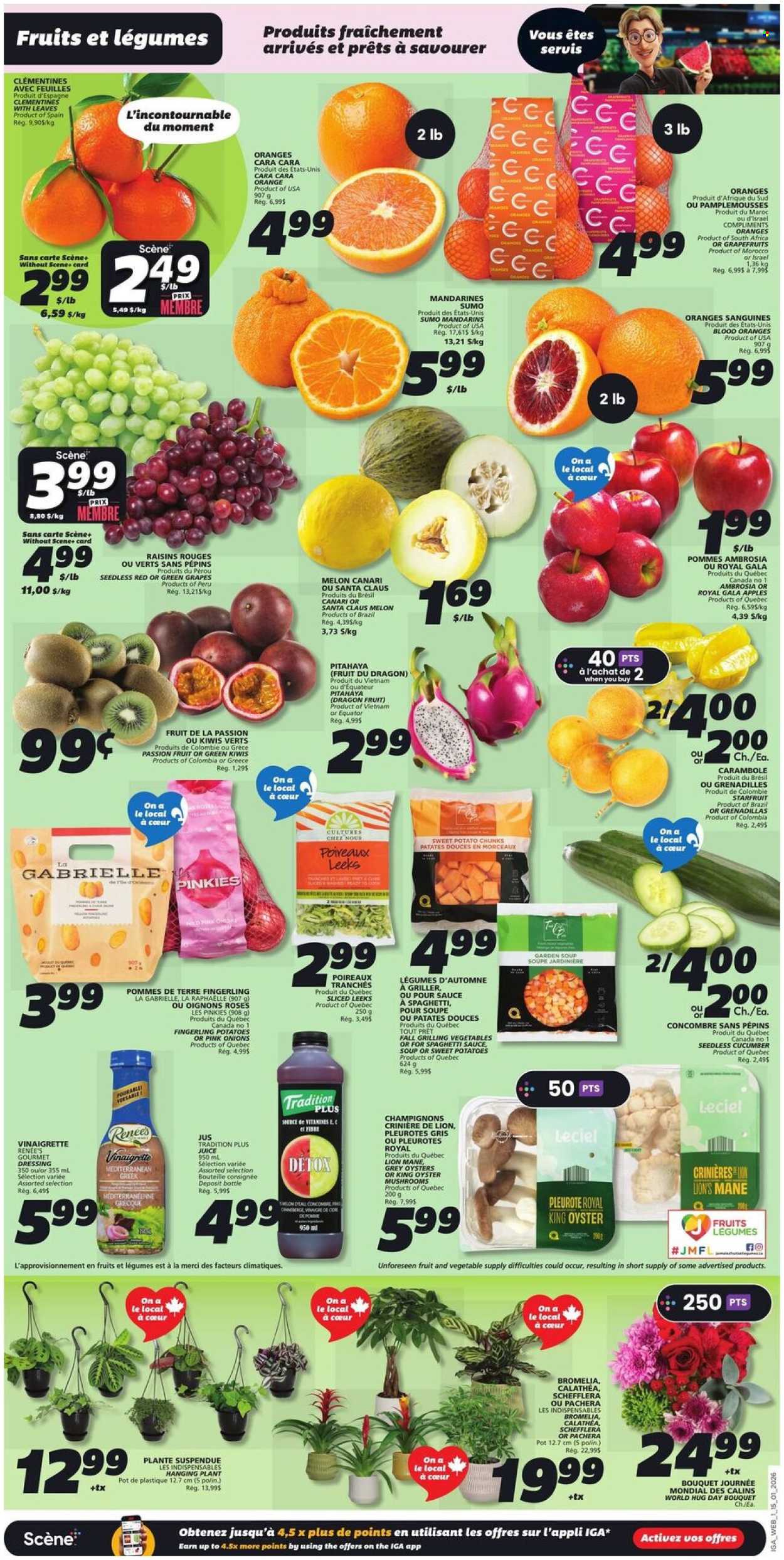 IGA flyer - January 15, 2026 - January 21, 2026. Page 3