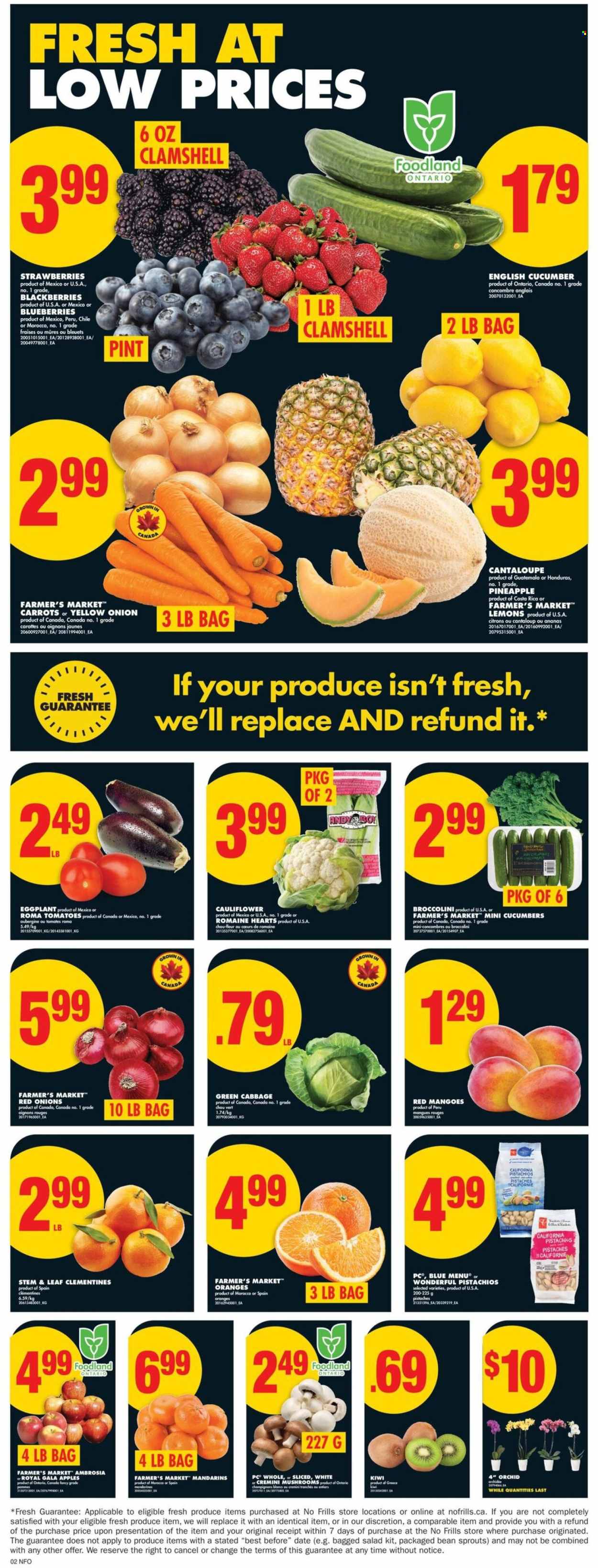 No Frills flyer - January 29, 2026 - February 04, 2026. Page 3