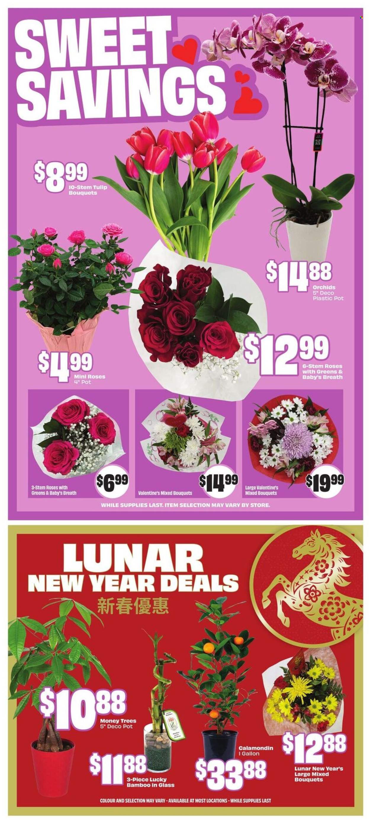 Chalo! FreshCo. flyer - February 05, 2026 - February 11, 2026. Page 10