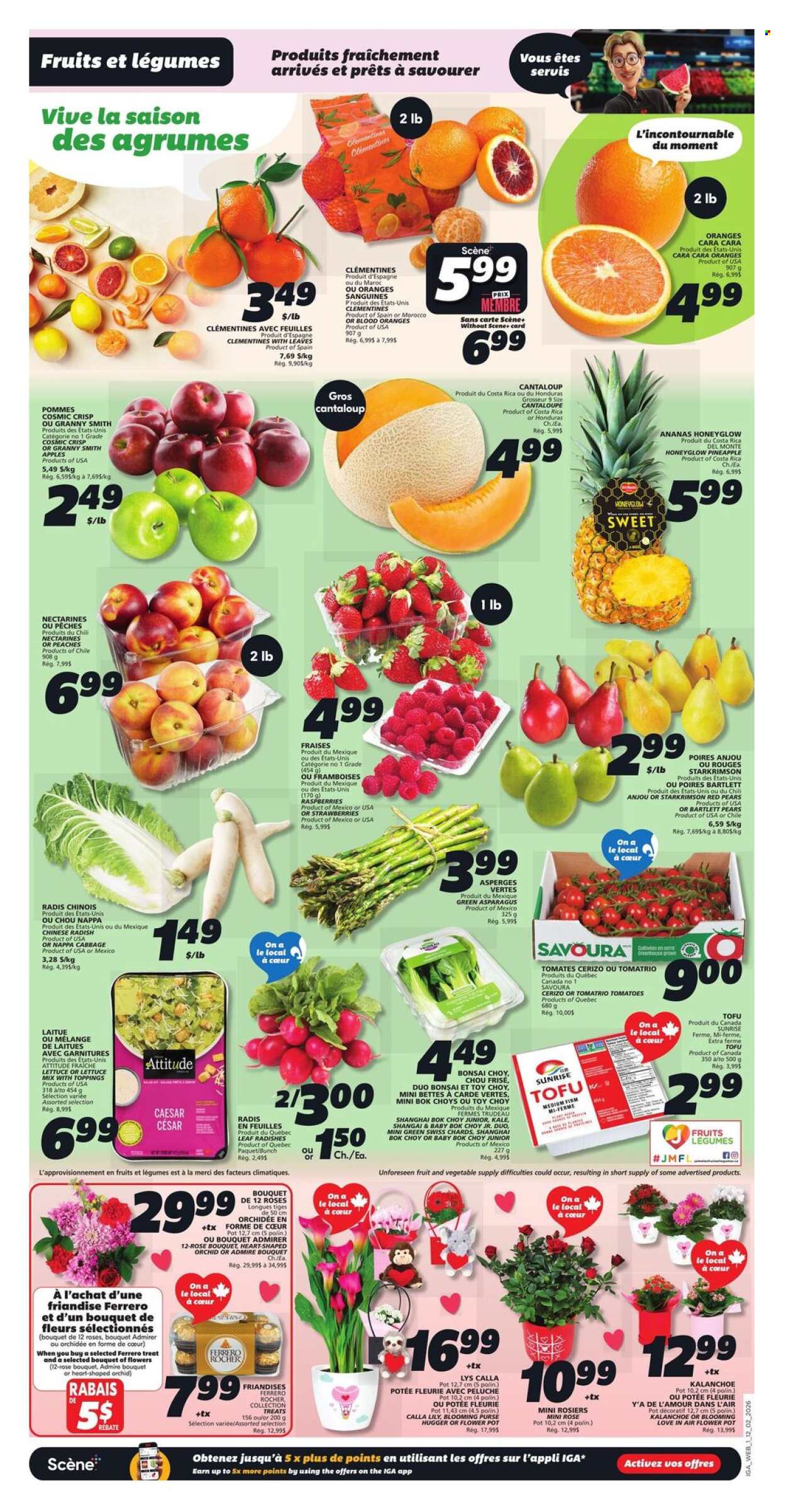 IGA flyer - February 12, 2026 - February 18, 2026. Page 3