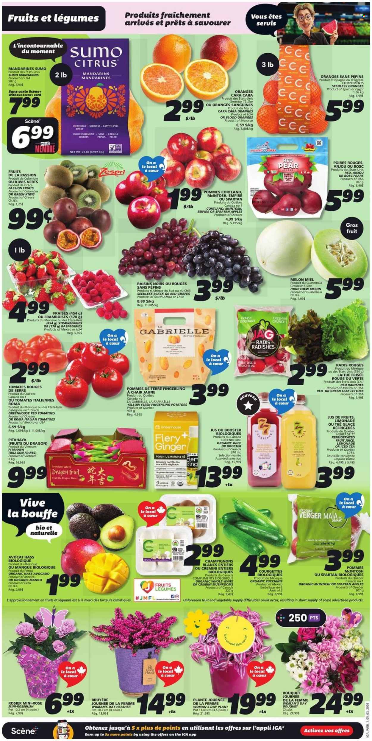 IGA flyer - March 05, 2026 - March 11, 2026. Page 3