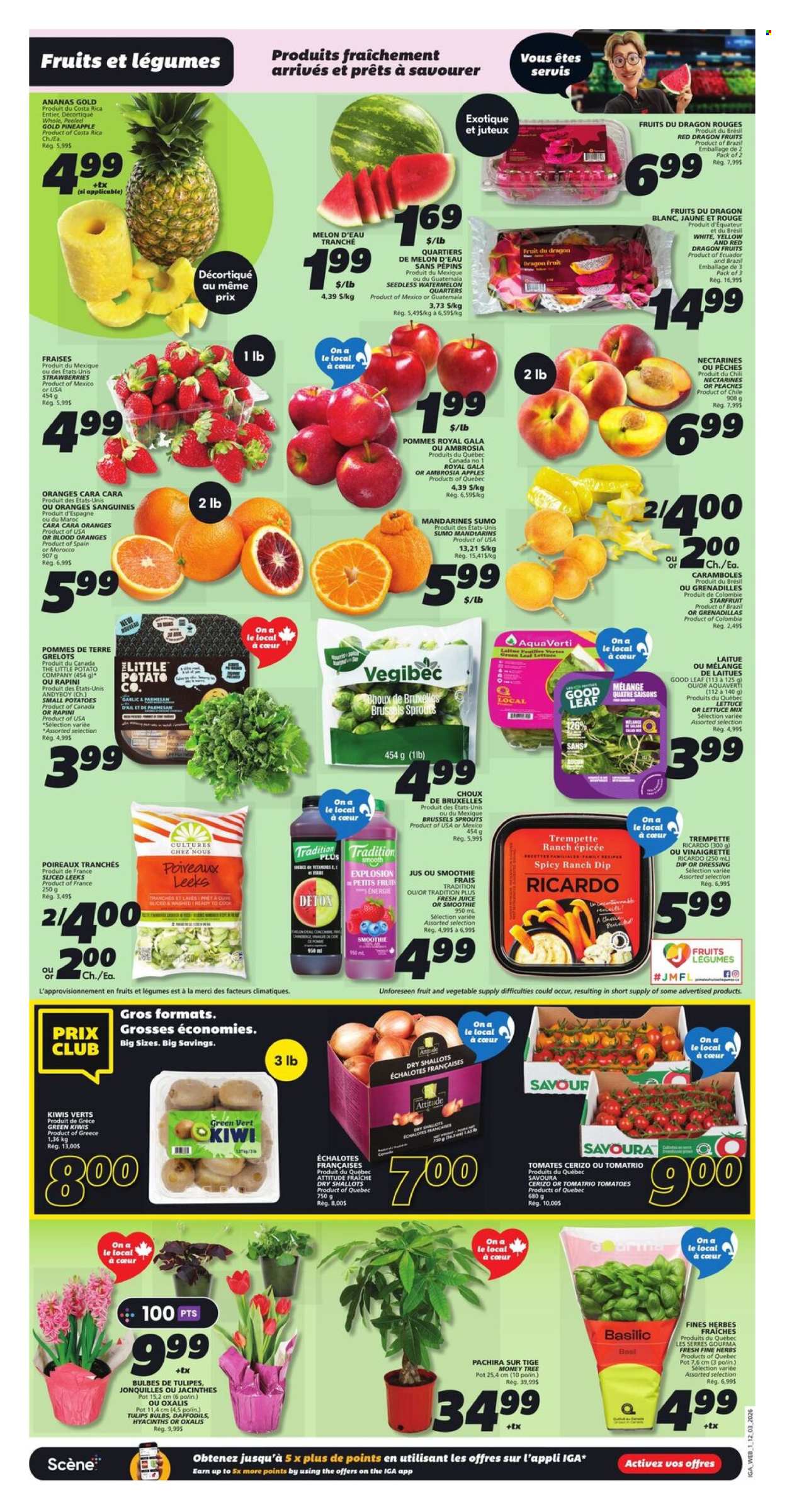 IGA flyer - March 12, 2026 - March 18, 2026. Page 3