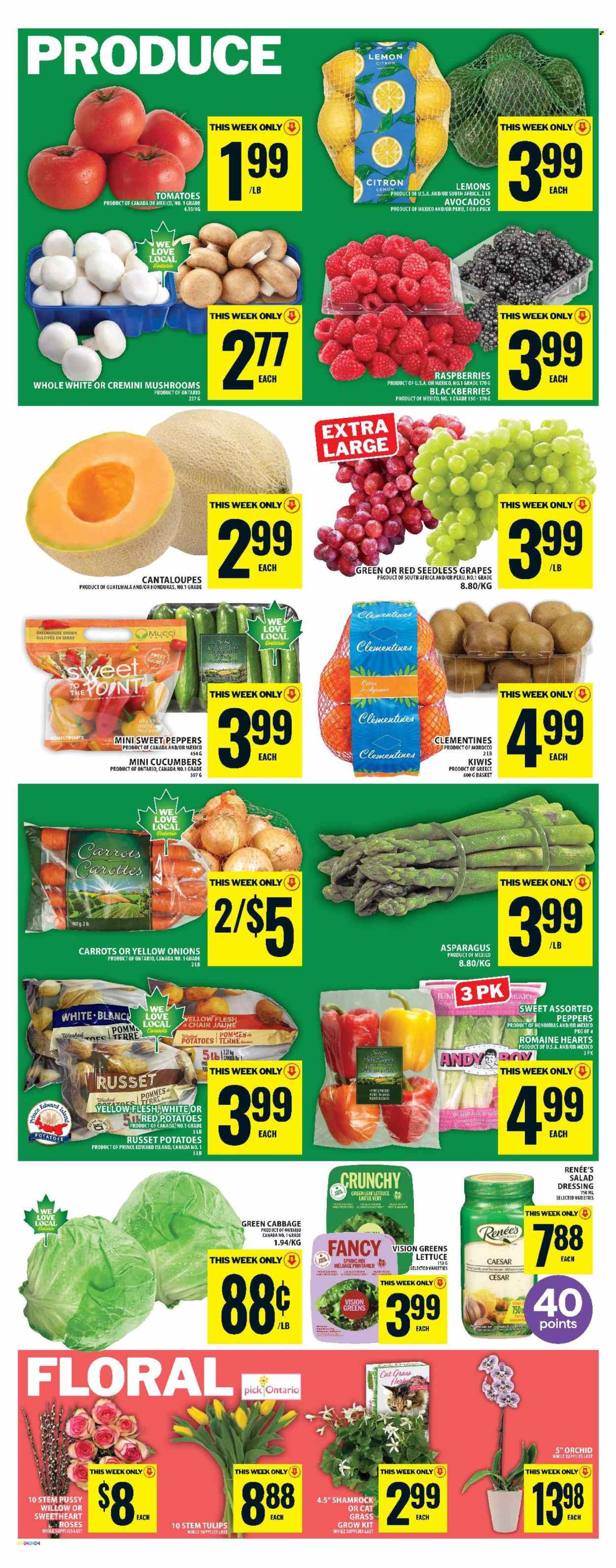 Food Basics flyer - March 12, 2026 - March 18, 2026. Page 6