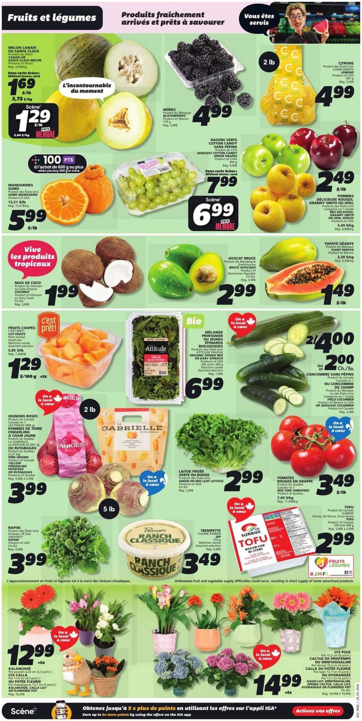 IGA flyer - March 26, 2026 - April 01, 2026. Page 3
