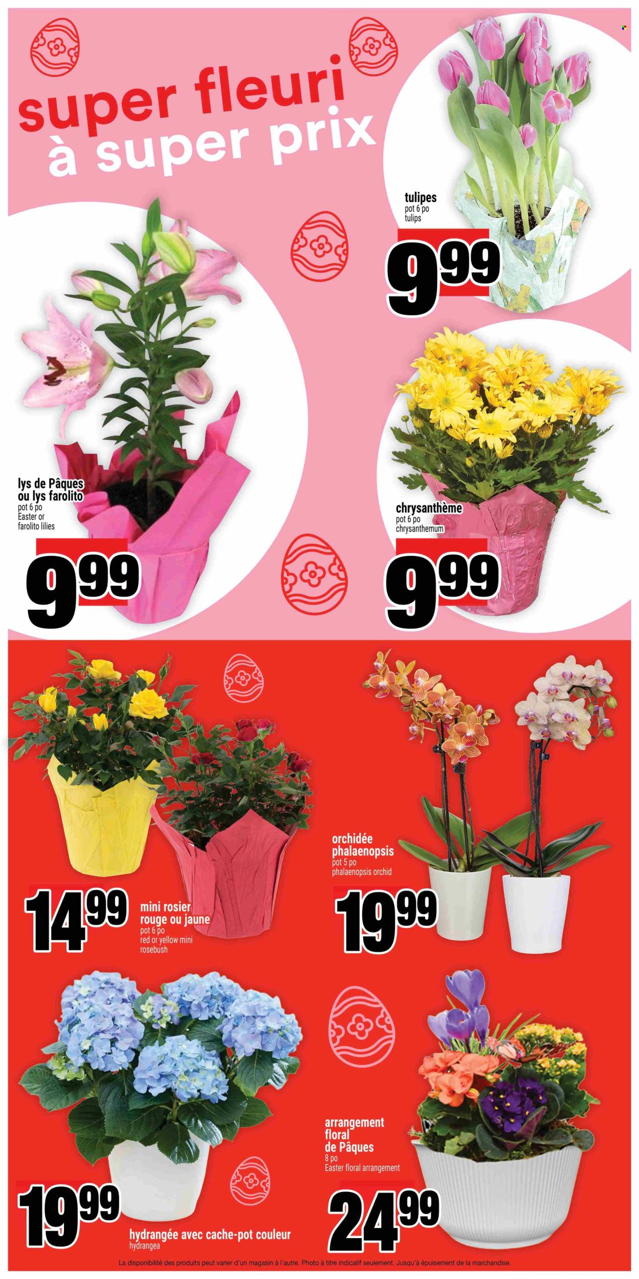 Super C flyer - March 26, 2026 - April 01, 2026. Page 13