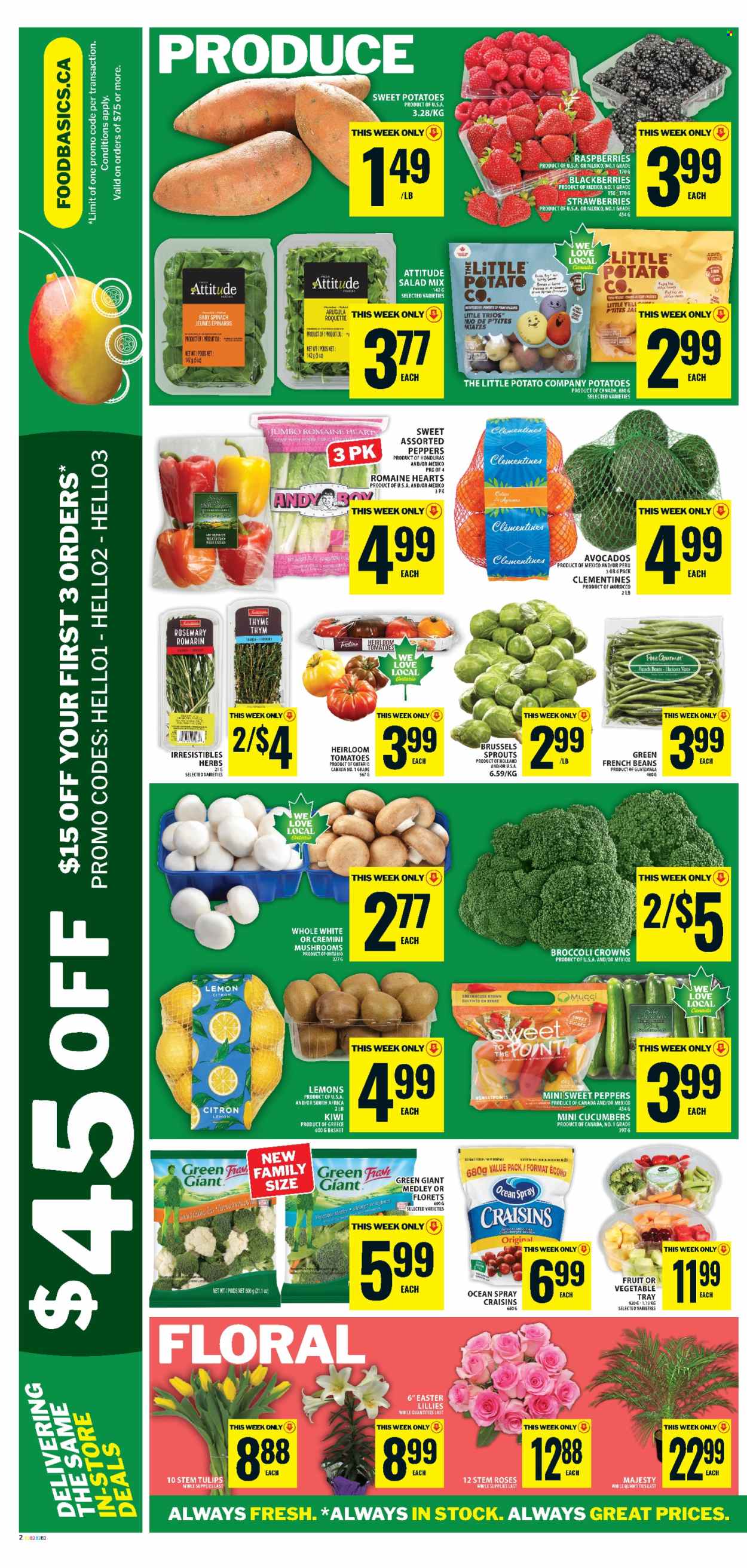 Food Basics flyer - March 26, 2026 - April 01, 2026. Page 5