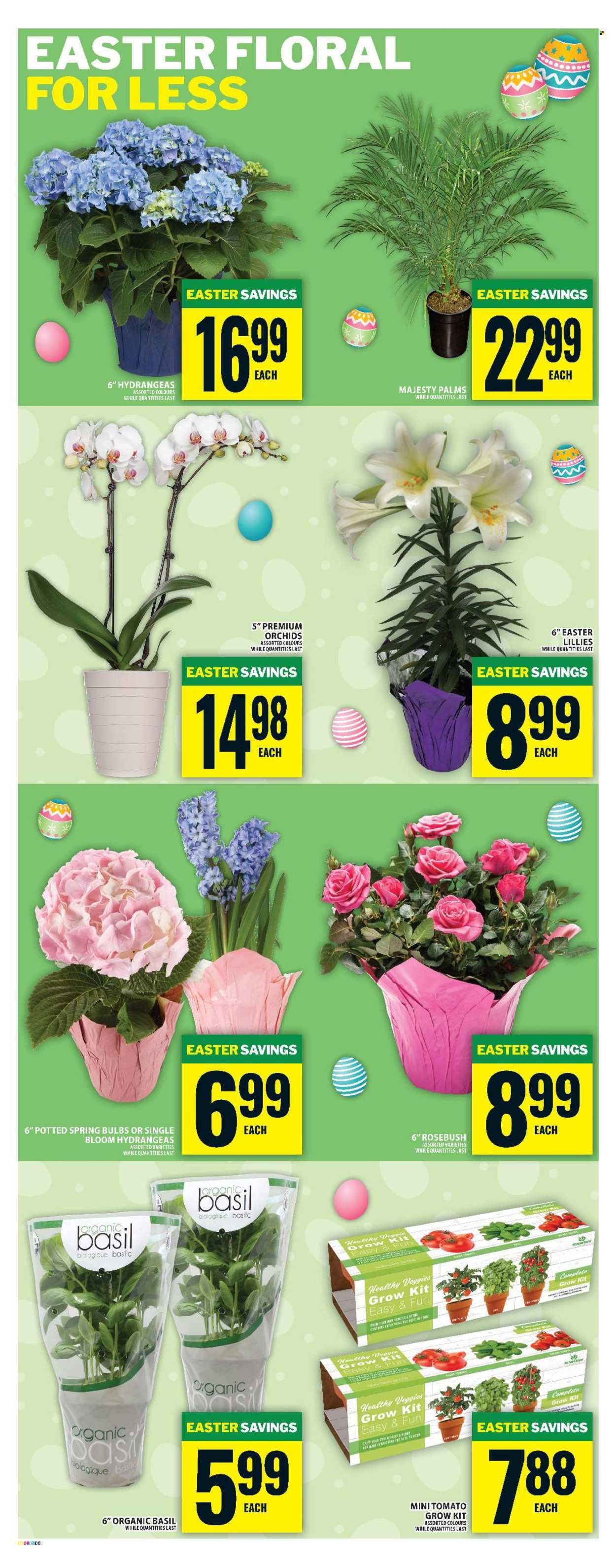 Food Basics flyer - March 26, 2026 - April 01, 2026. Page 10