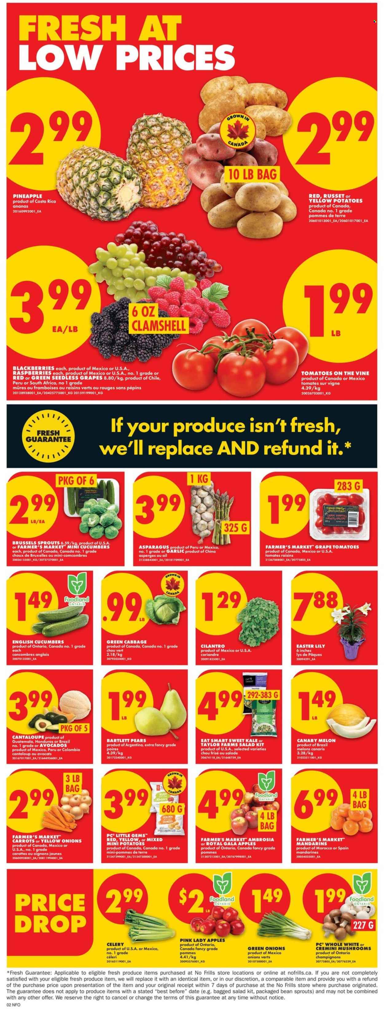 No Frills flyer - April 02, 2026 - April 08, 2026. Page 3