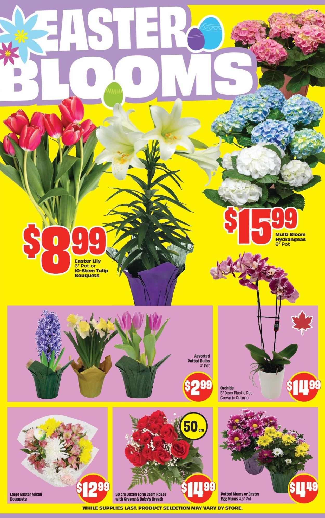 FreshCo. flyer - April 02, 2026 - April 08, 2026. Page 6