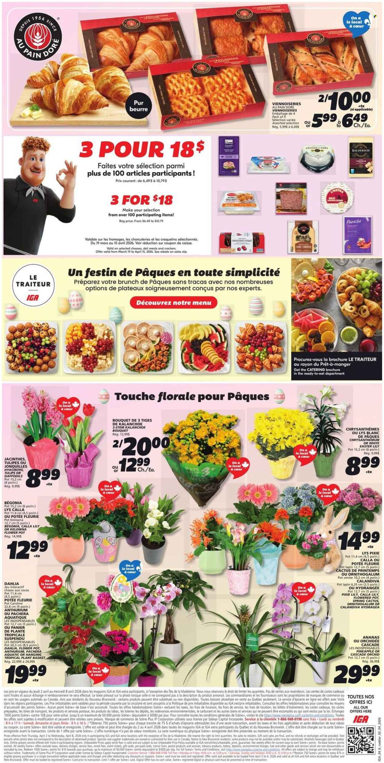 IGA flyer - April 02, 2026 - April 08, 2026. Page 4