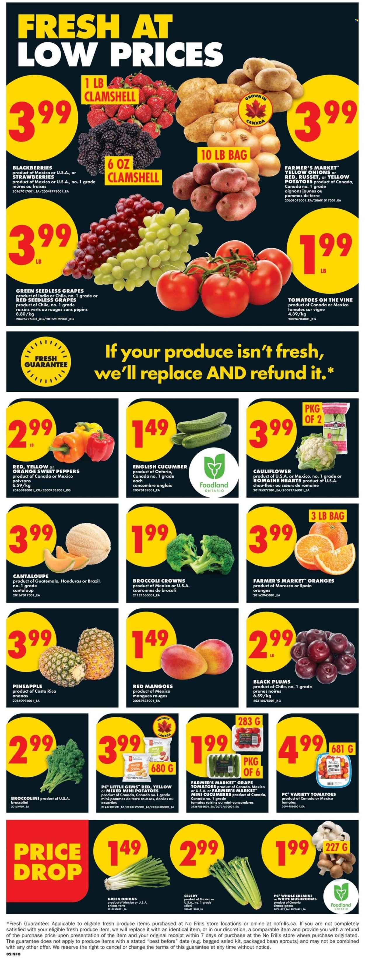No Frills flyer - April 09, 2026 - April 15, 2026. Page 3