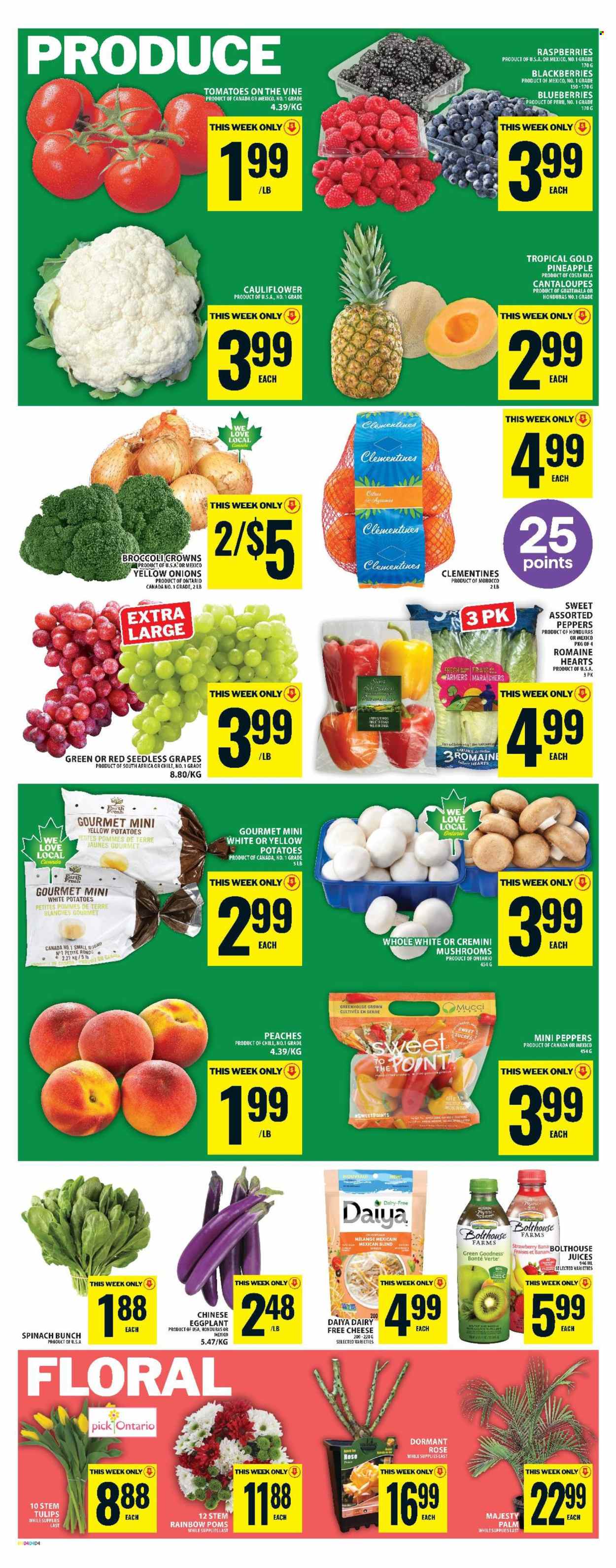 Food Basics flyer - April 09, 2026 - April 15, 2026. Page 6