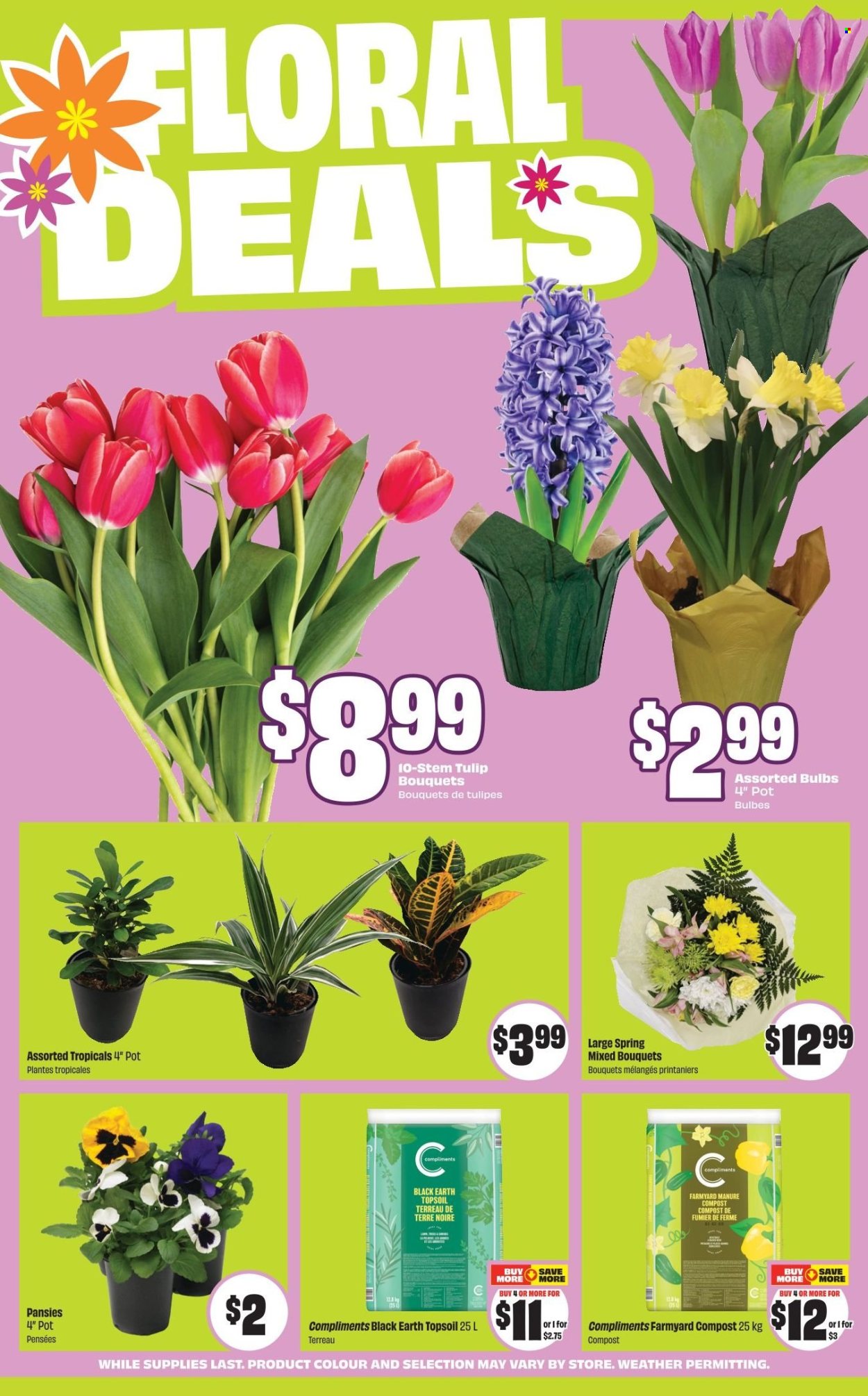Chalo! FreshCo. flyer - April 09, 2026 - April 15, 2026. Page 9