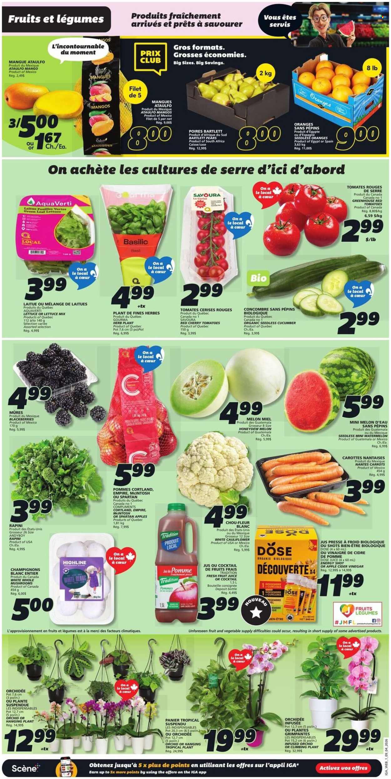 IGA flyer - April 09, 2026 - April 15, 2026. Page 3
