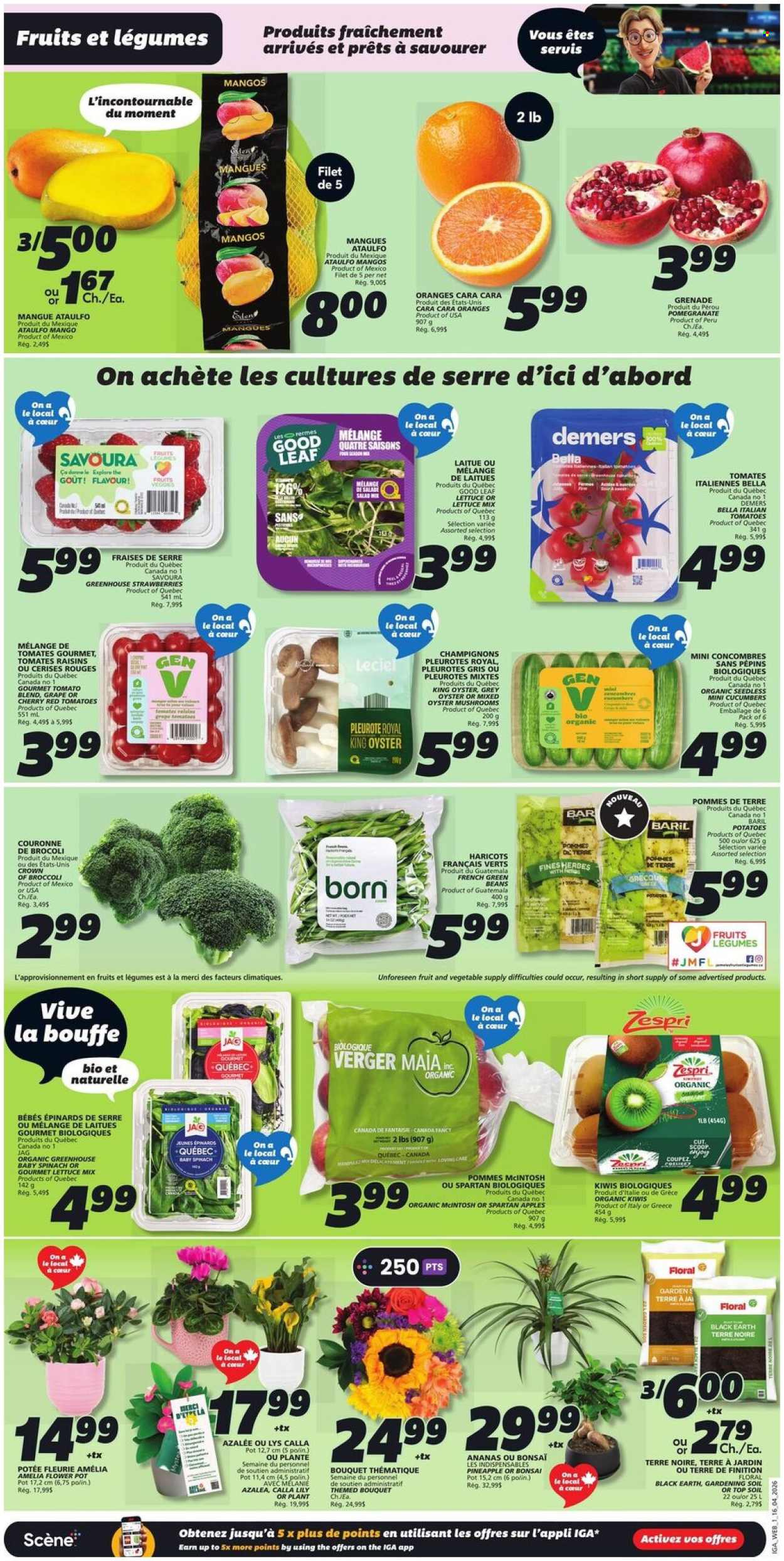 IGA flyer - April 16, 2026 - April 22, 2026. Page 3