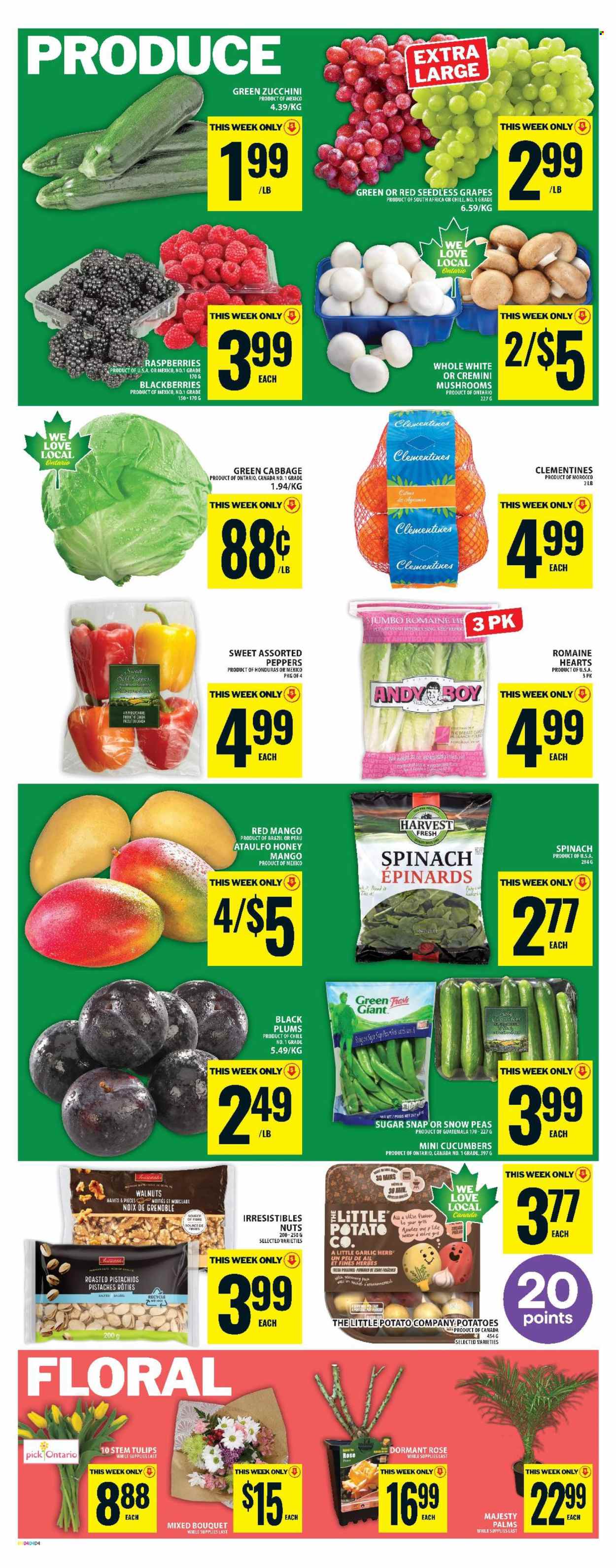 Food Basics flyer - April 23, 2026 - April 29, 2026. Page 6