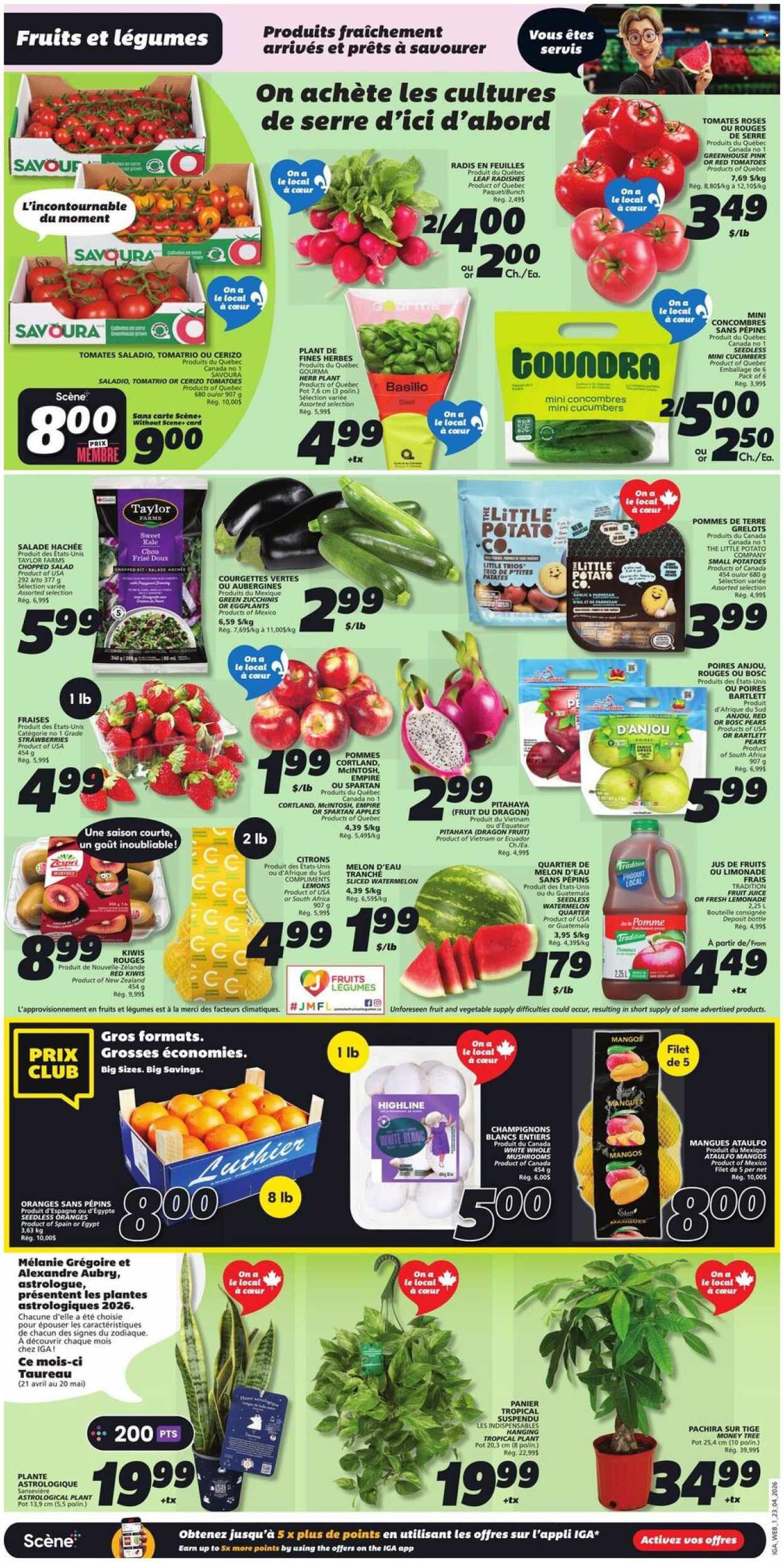 IGA flyer - April 23, 2026 - April 29, 2026. Page 3
