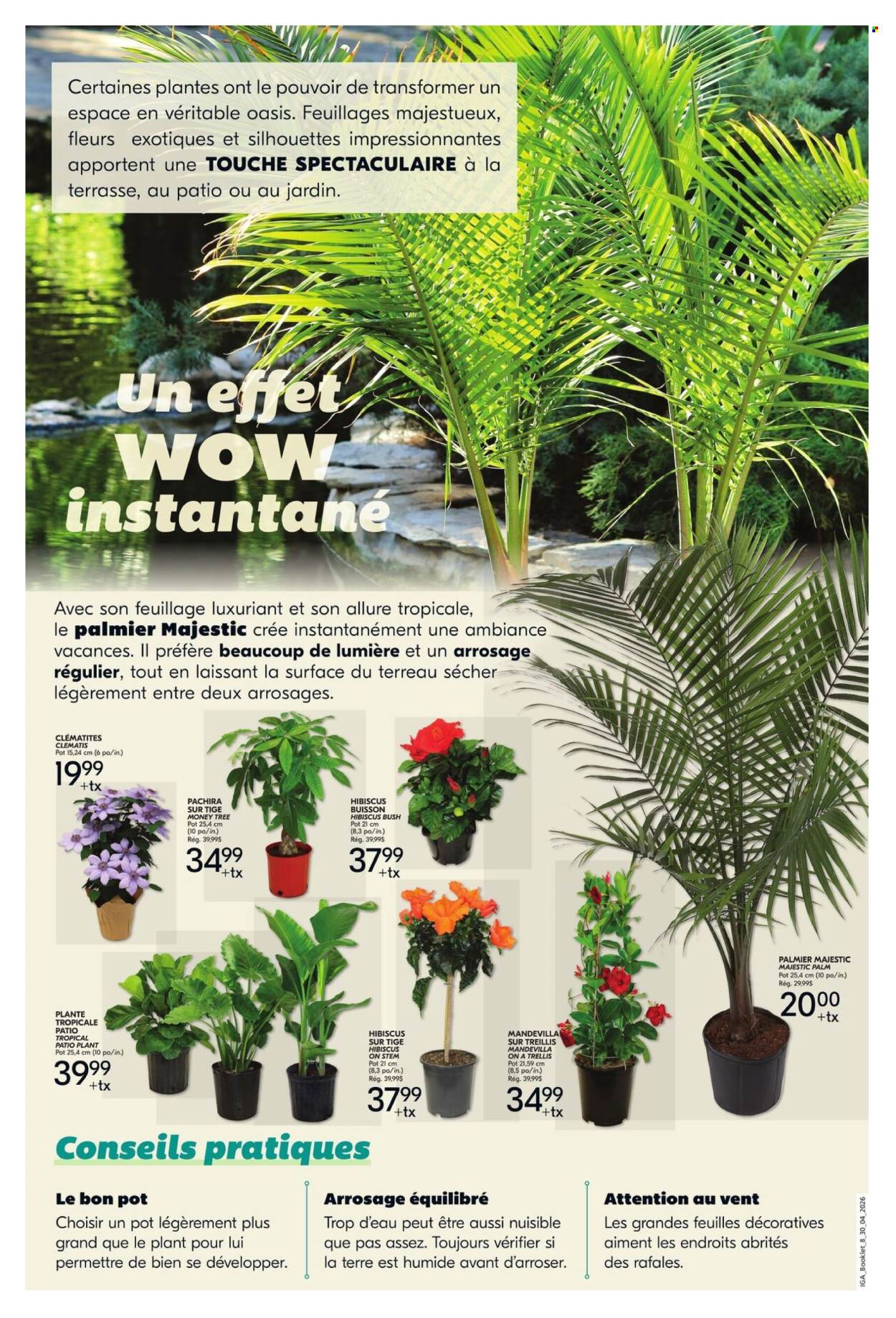 IGA flyer - April 30, 2026 - May 06, 2026. Page 4