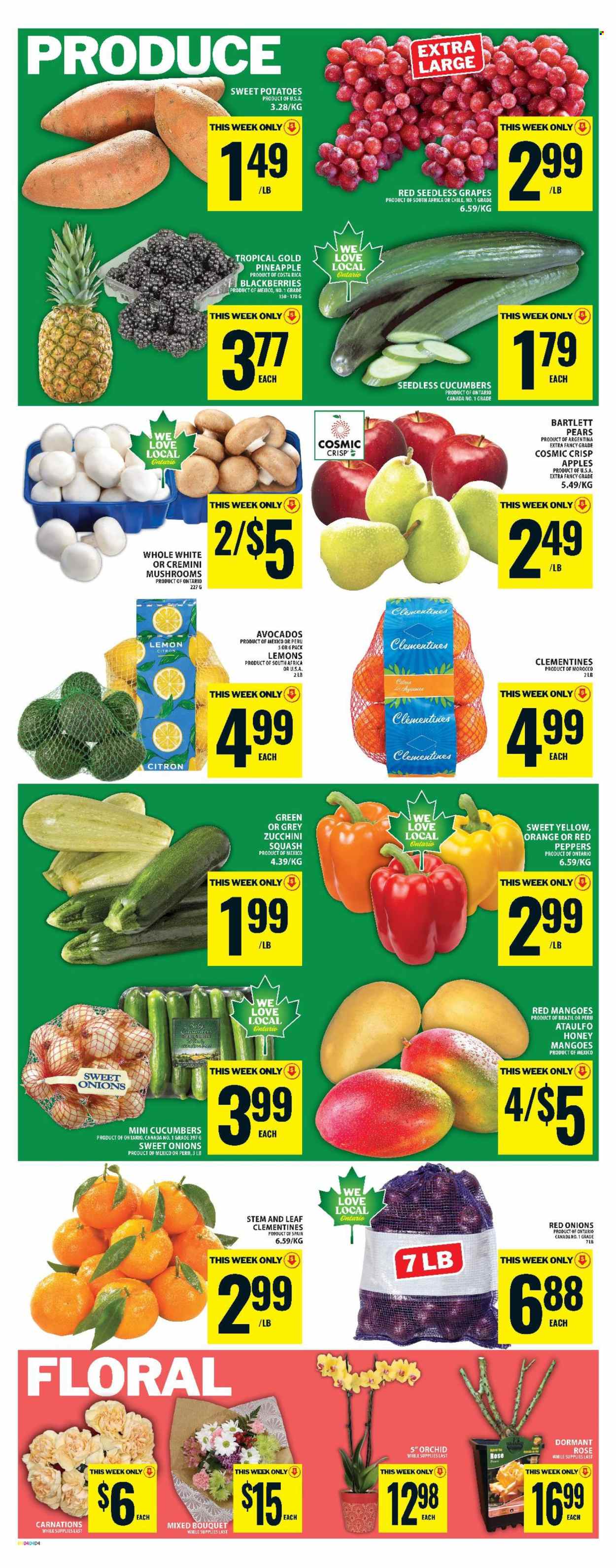 Food Basics flyer - April 30, 2026 - May 06, 2026. Page 6