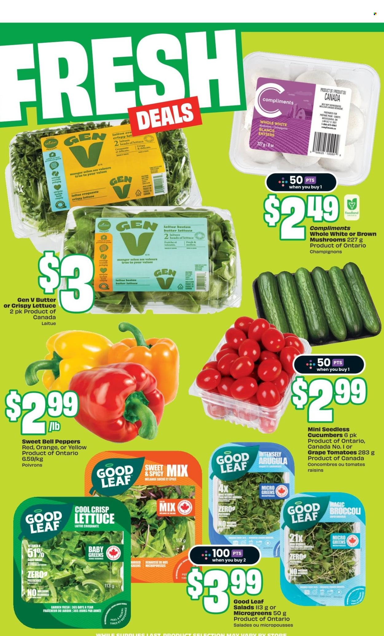 FreshCo. flyer - April 30, 2026 - May 06, 2026. Page 5
