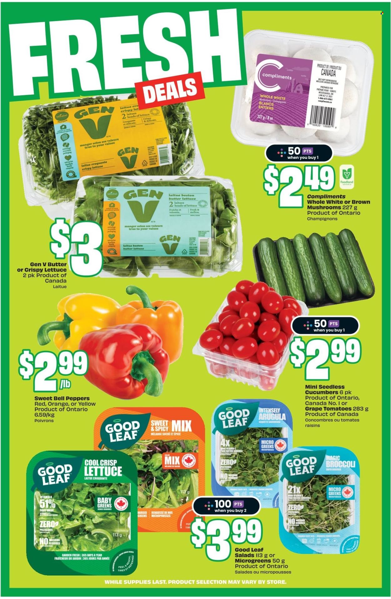 Chalo! FreshCo. flyer - April 30, 2026 - May 06, 2026. Page 5